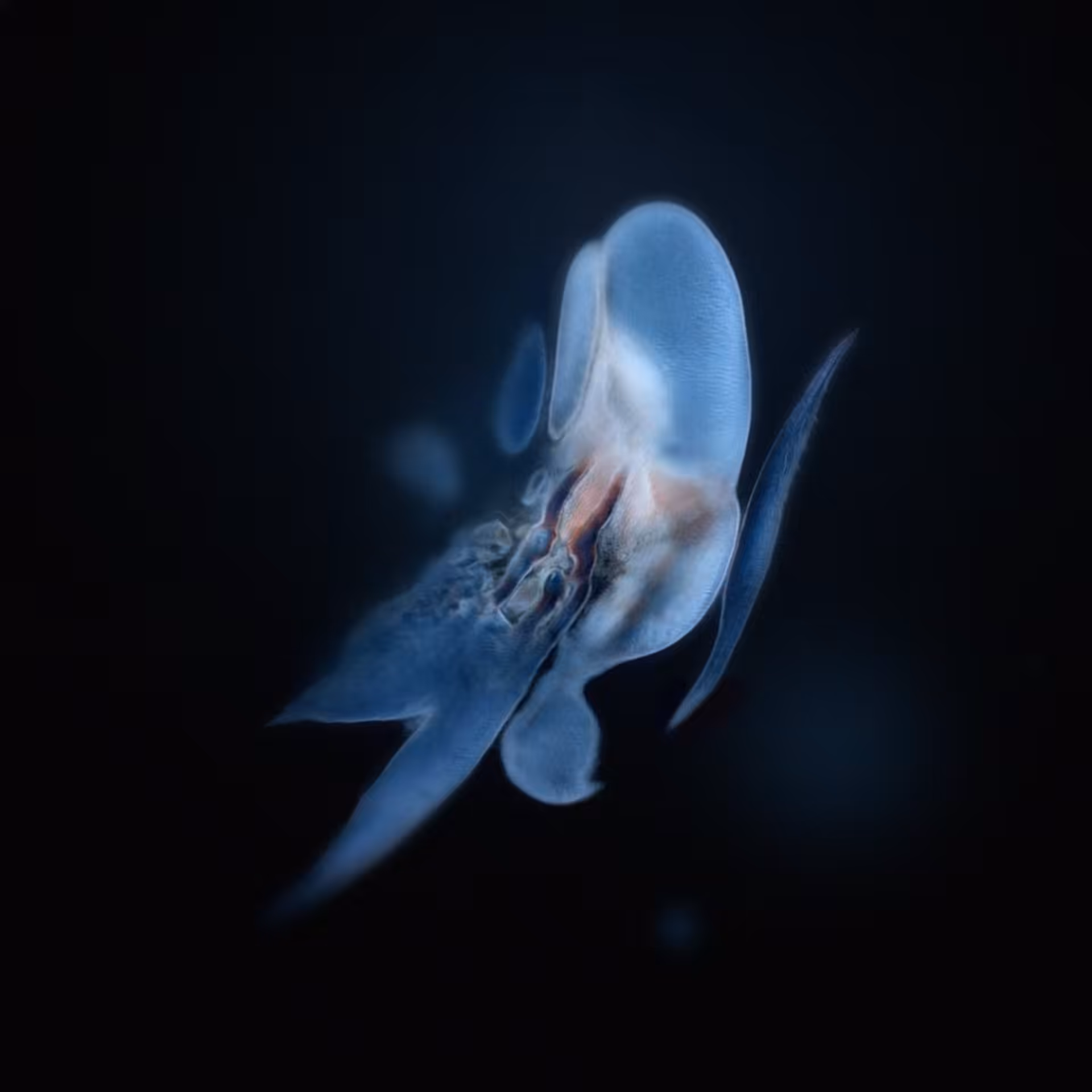 Sperma 68