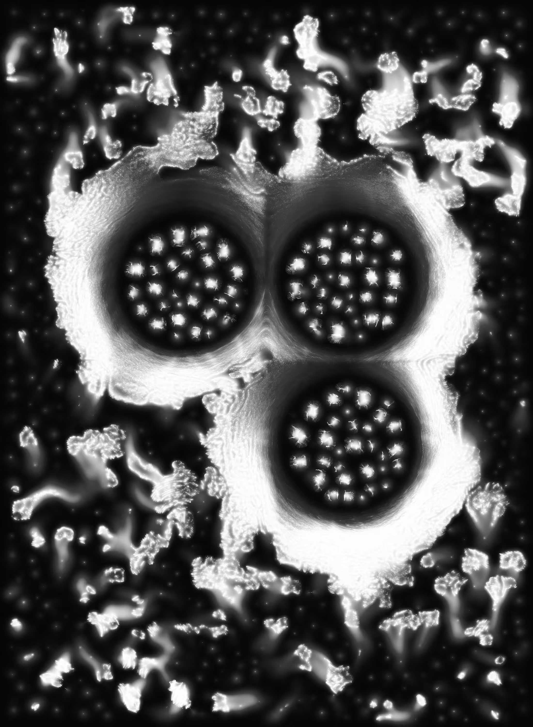 Holons #193
