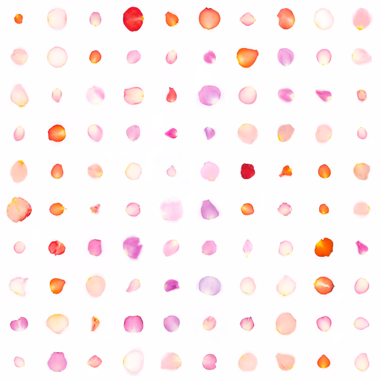 Infinite Petals 10x10#10003