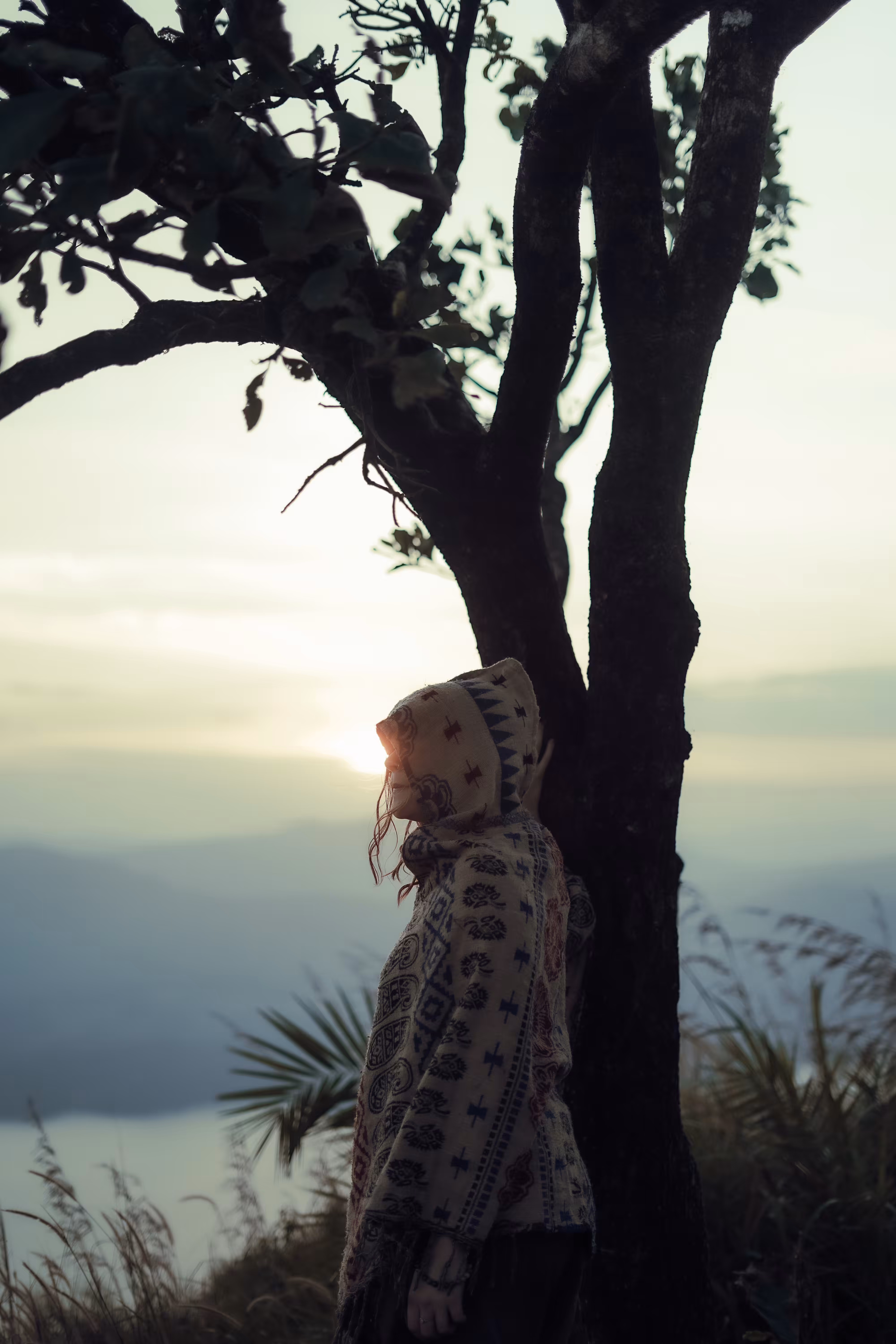 SUNSET SEEKER
