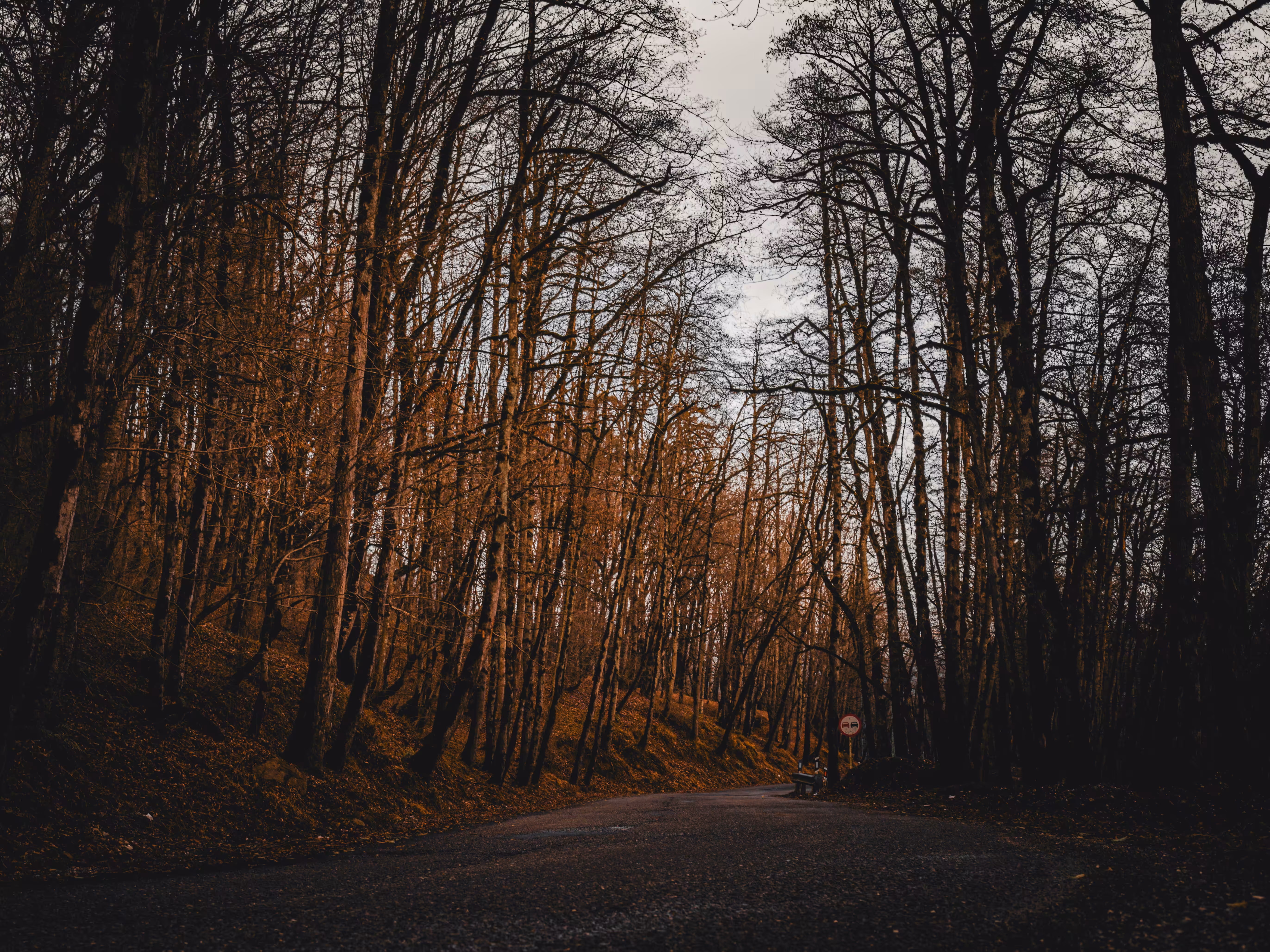 Path