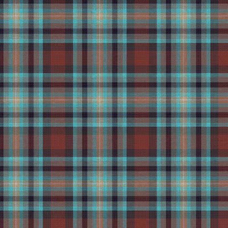 Tartan Cloth #24