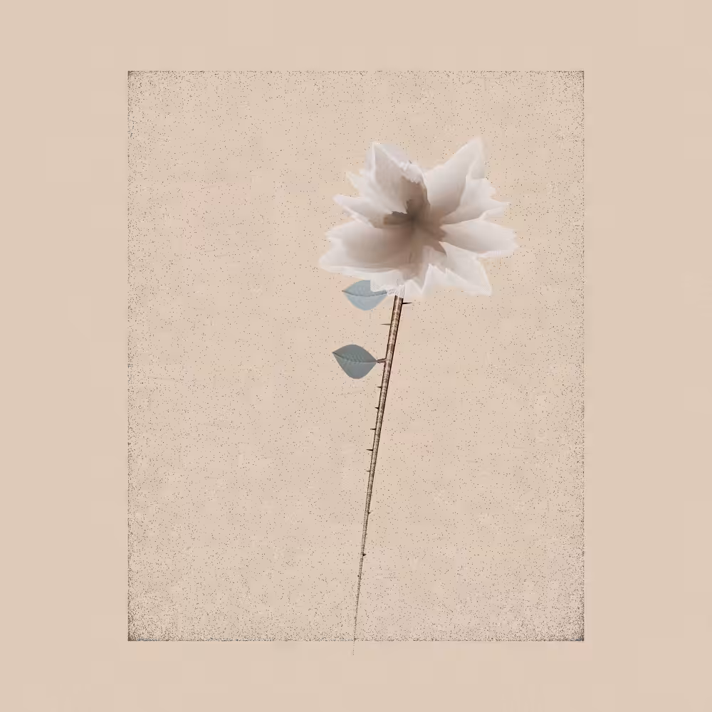 Magnolia #95