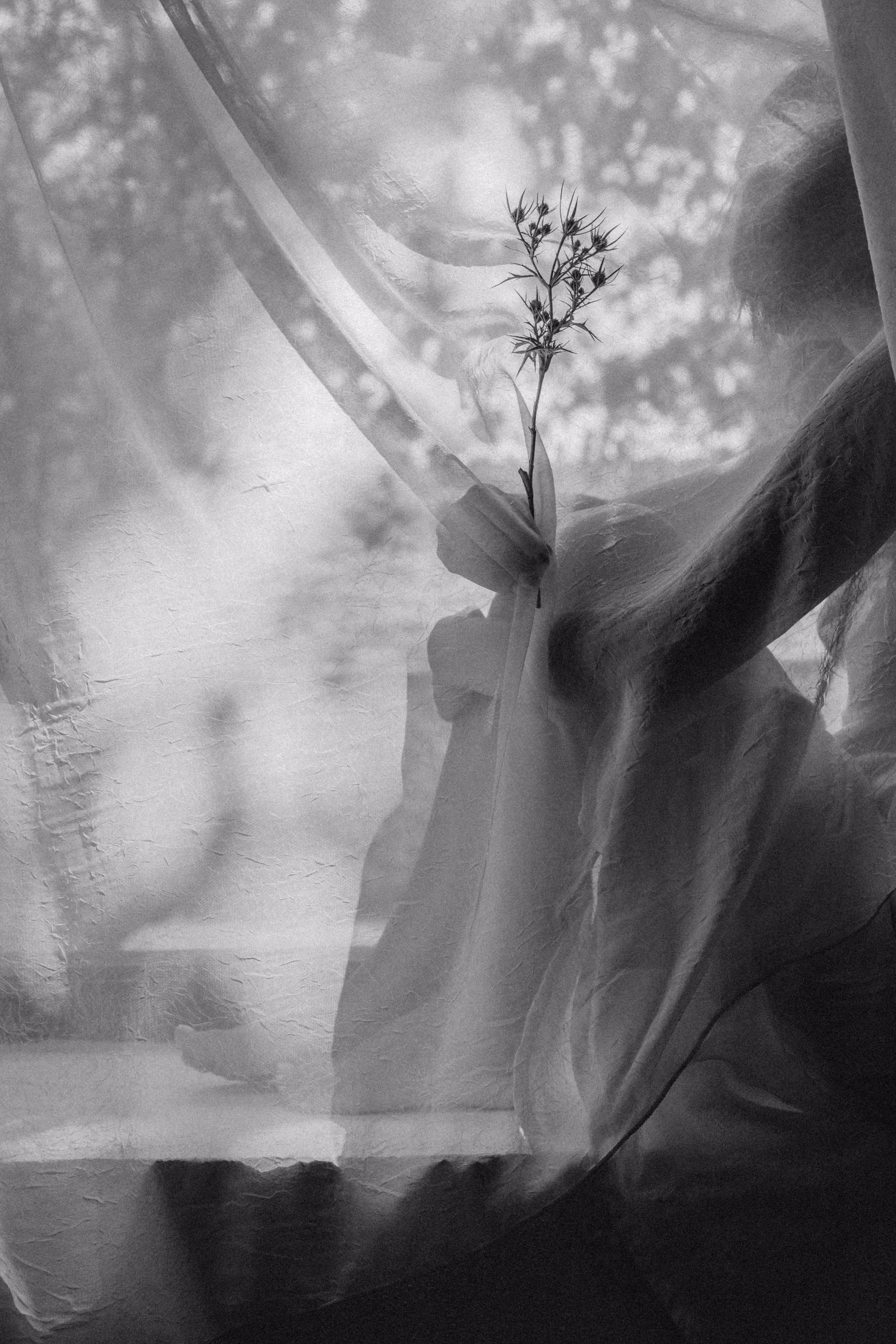 ethereal whiteness