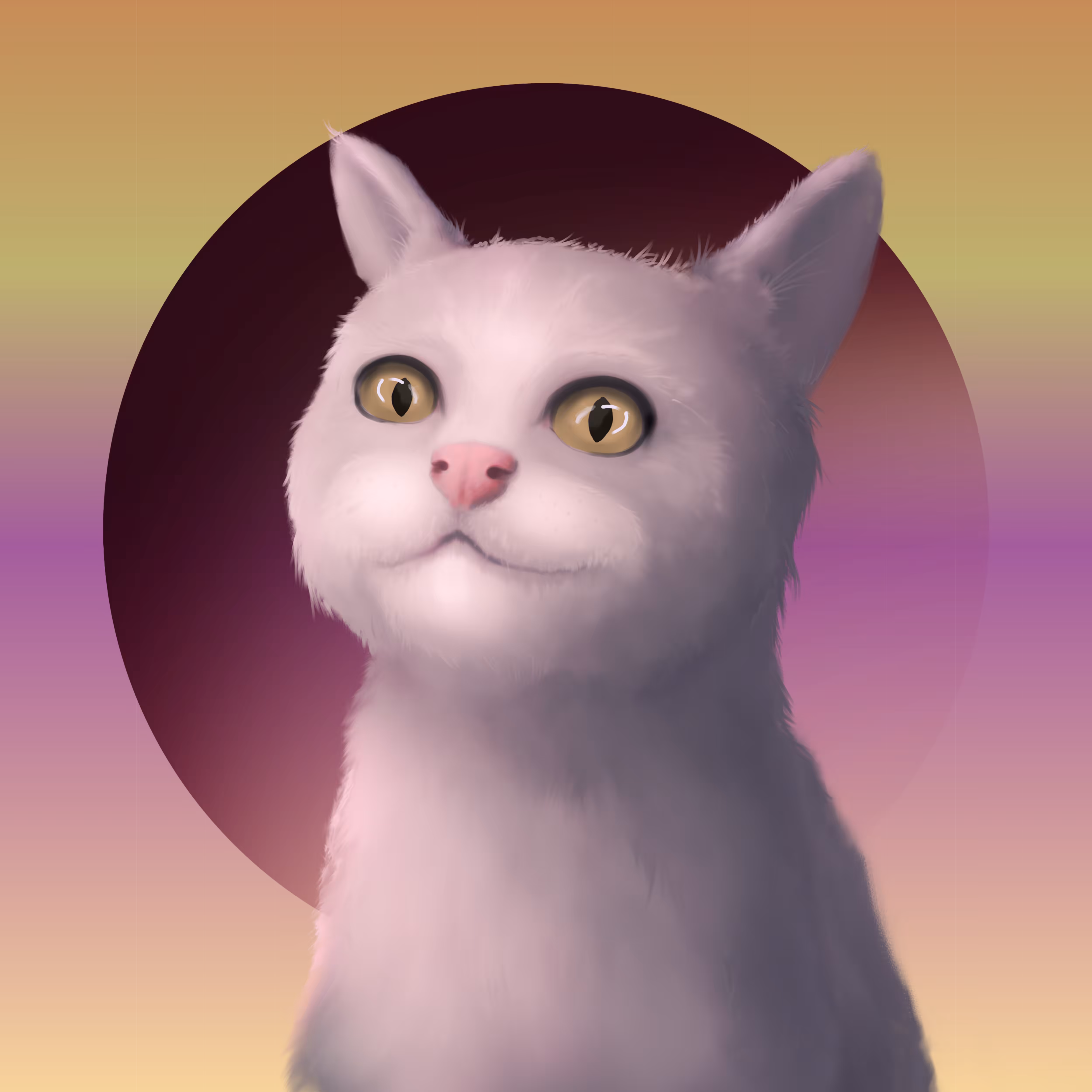 Crazy cat #9