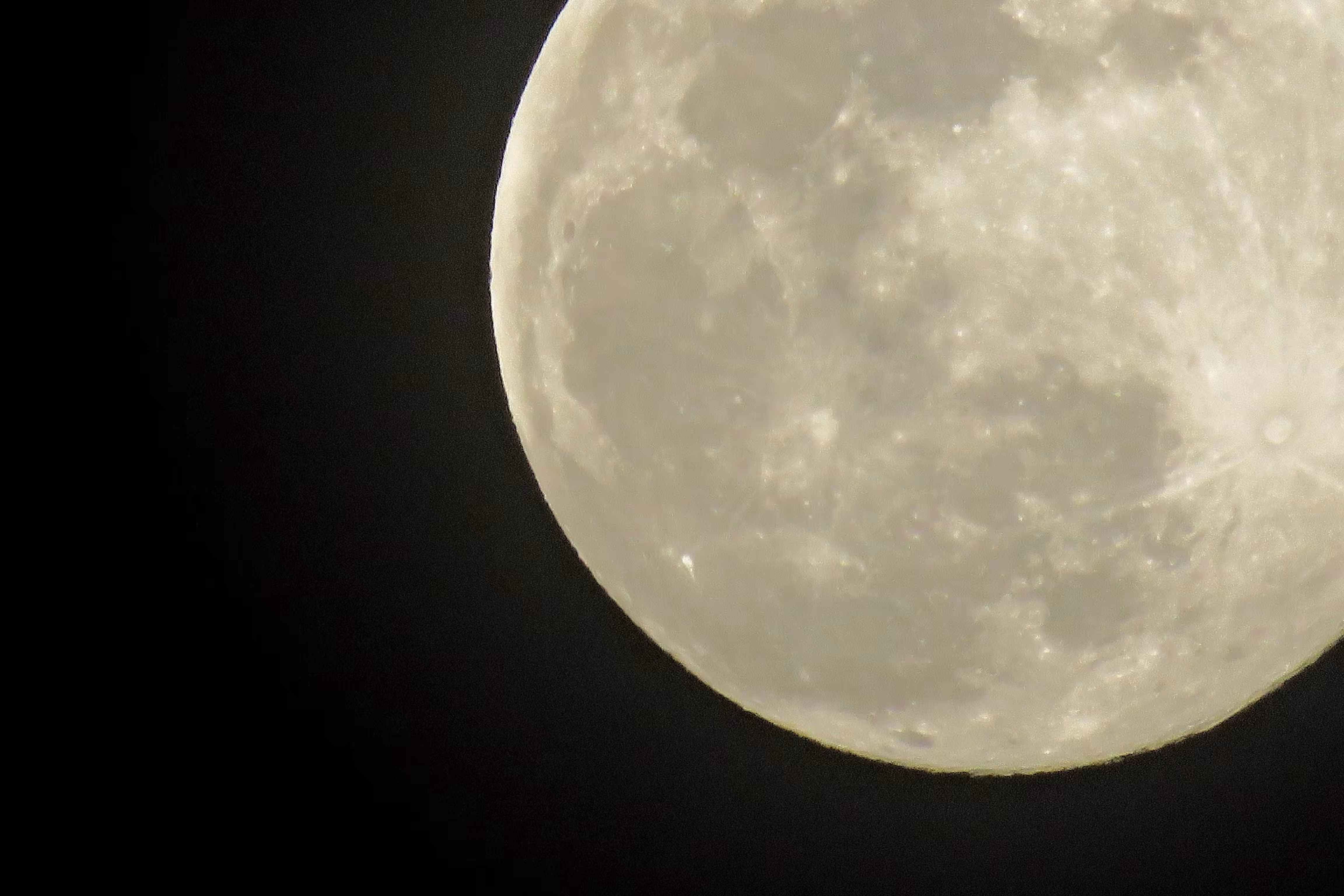 To the moon 