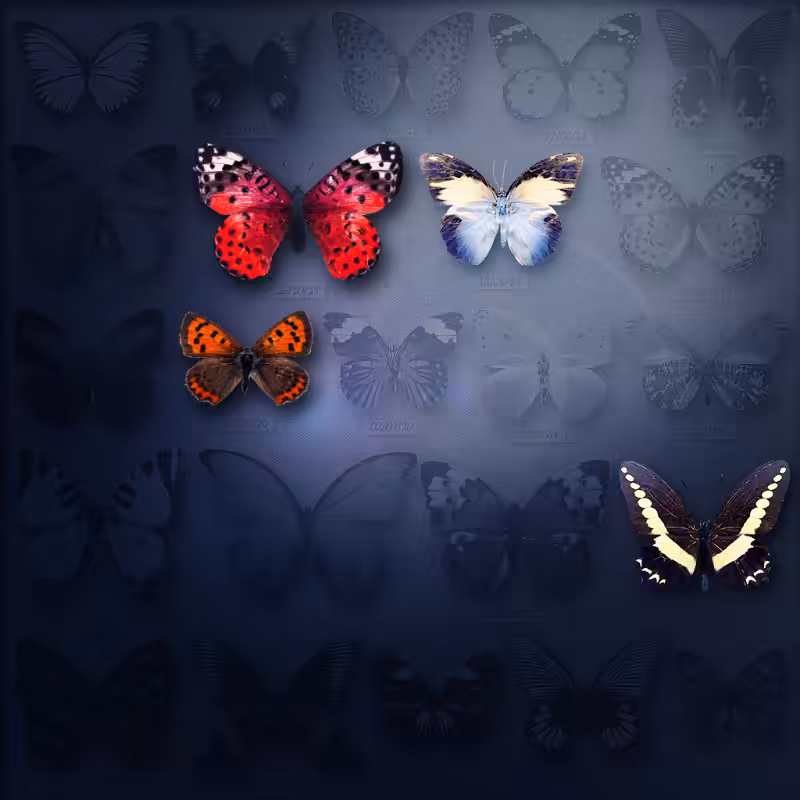 Save Butterfly World #8