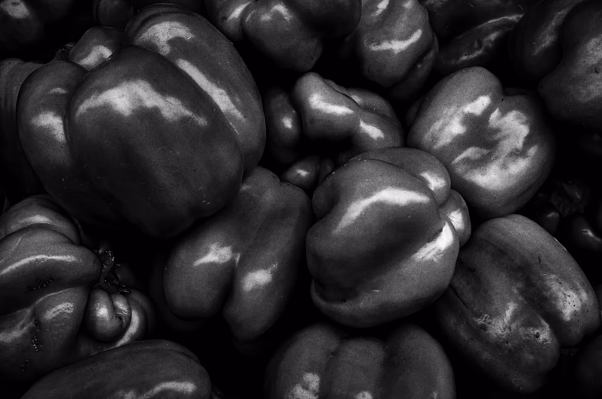 Bell pepper