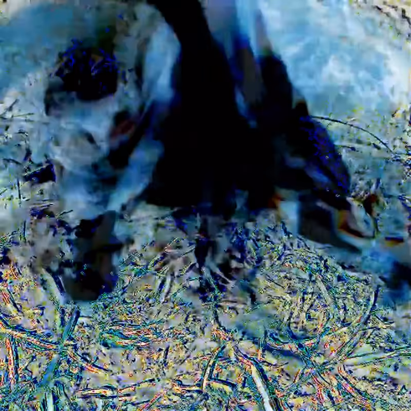 Teleport Loopr #97