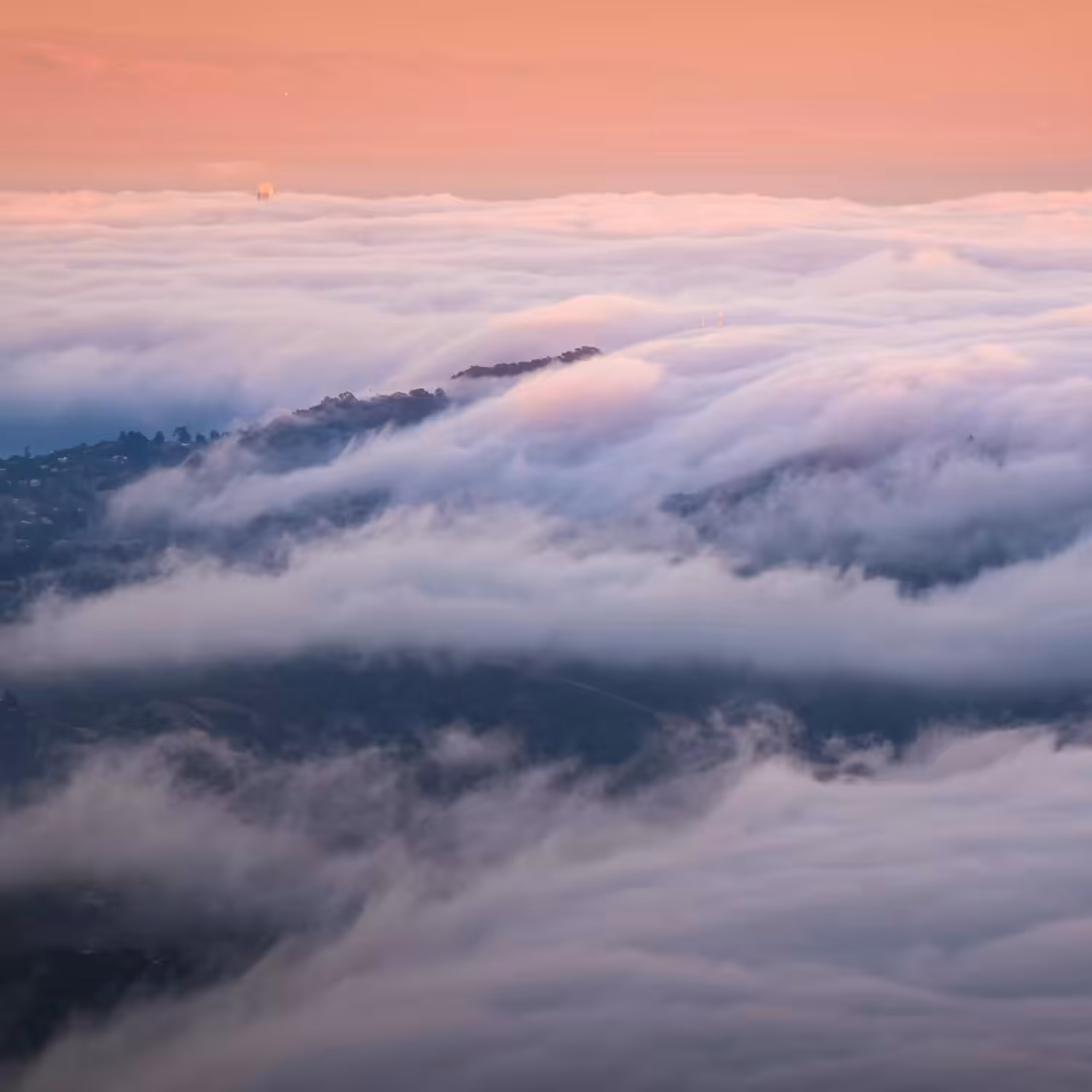 A Symphony of Fog in Motion #1