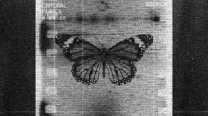 GOG EDITION: Butterfly Effect