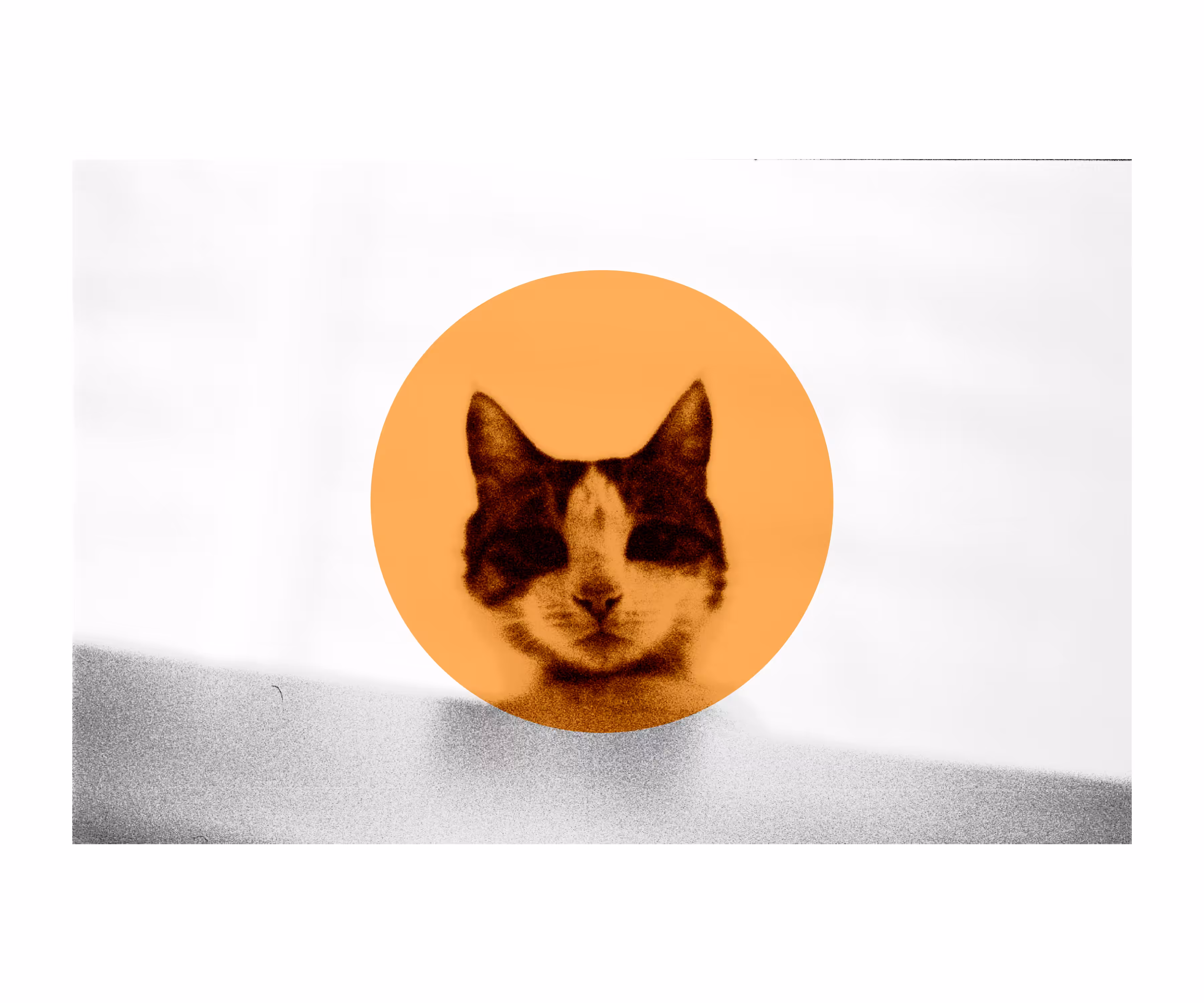 Gattino