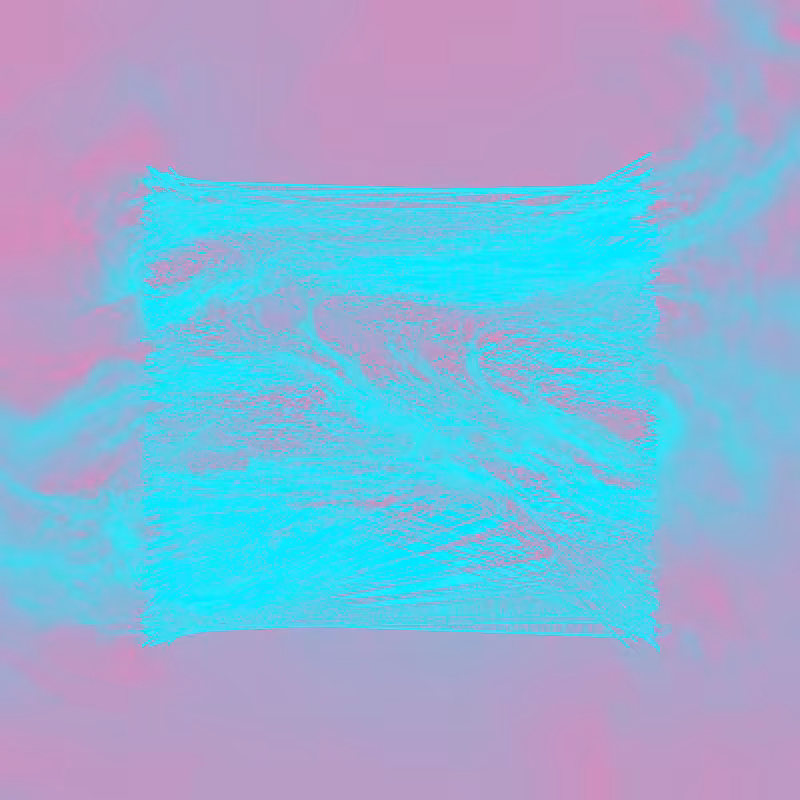 xxf #22