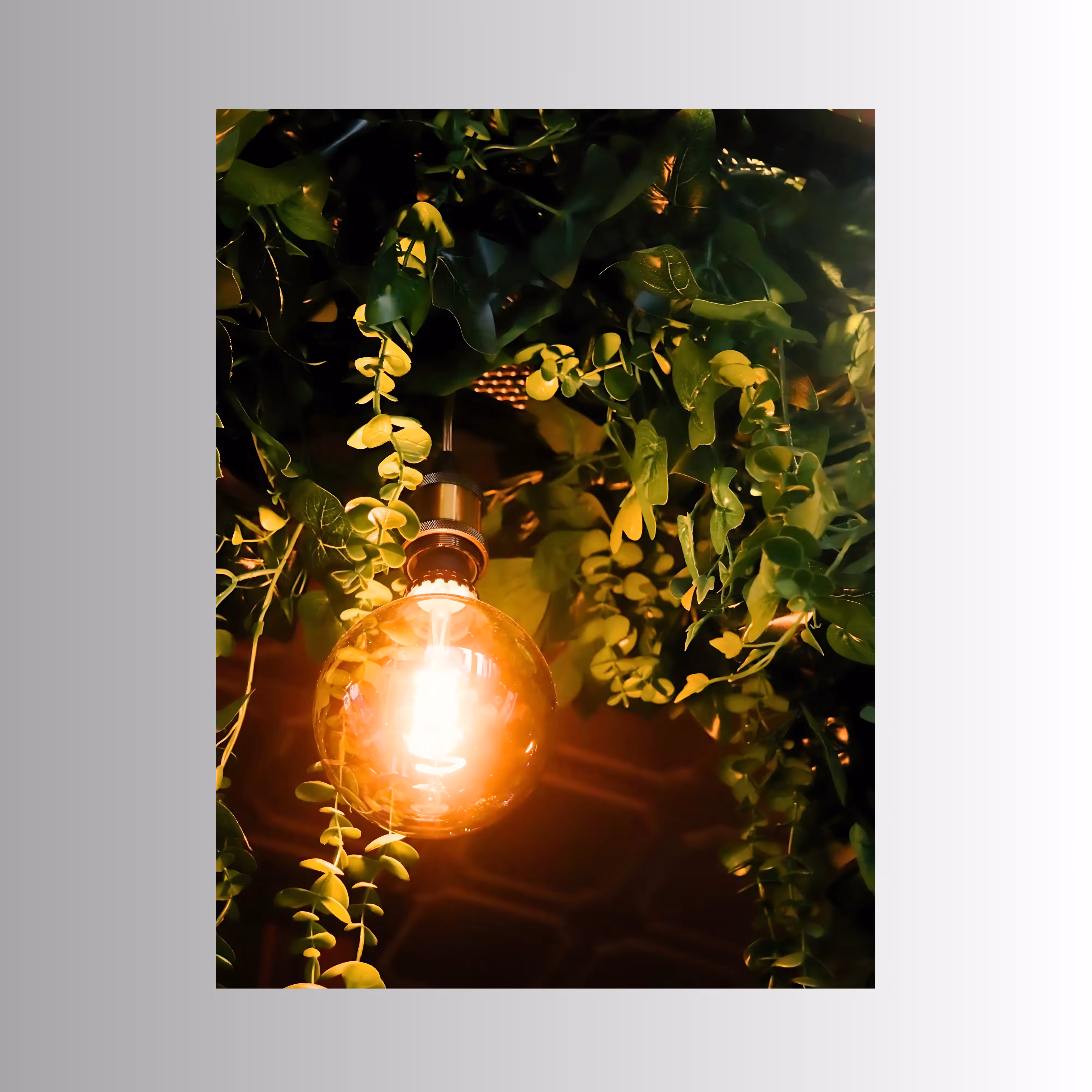 The _Power_Of_Light