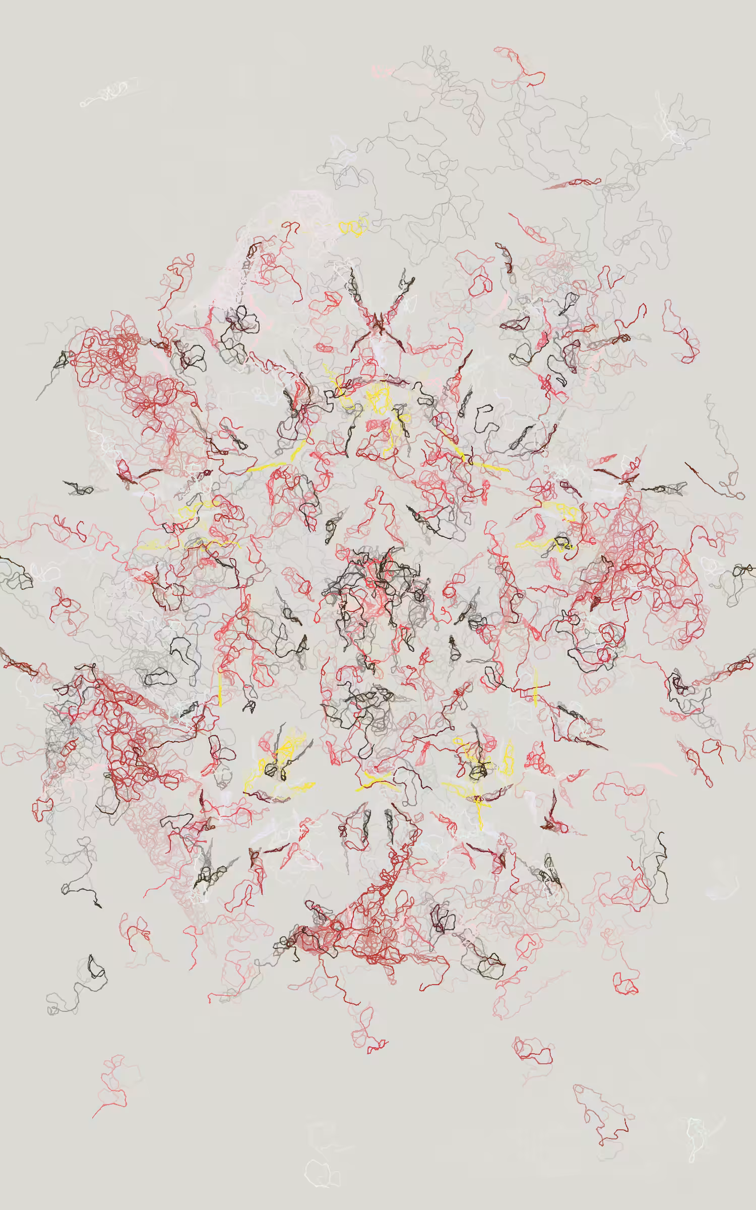 Orchids #173