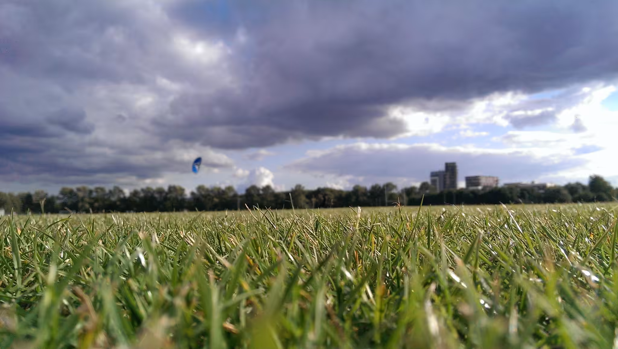 Kuprik Grass 