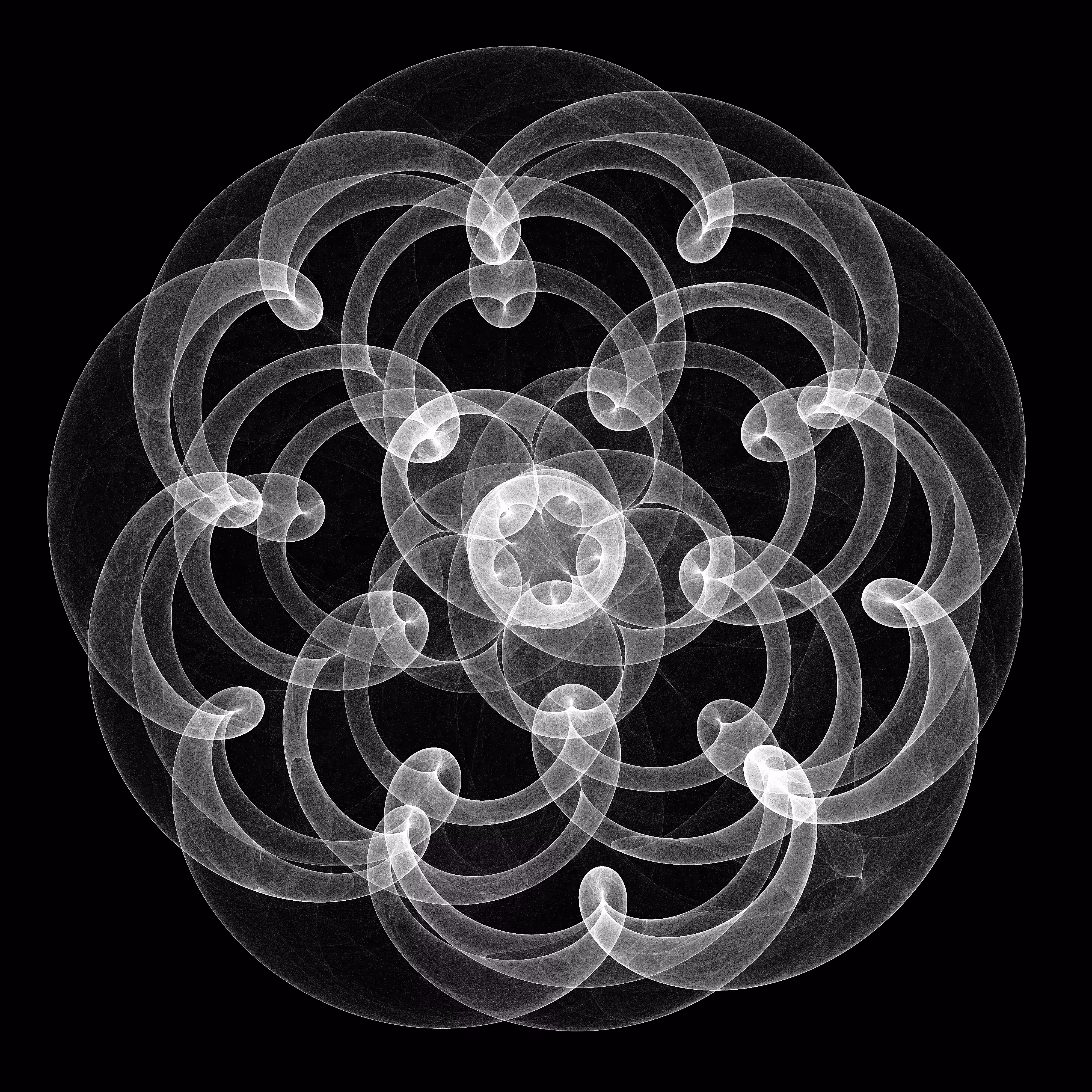 Black attractor
