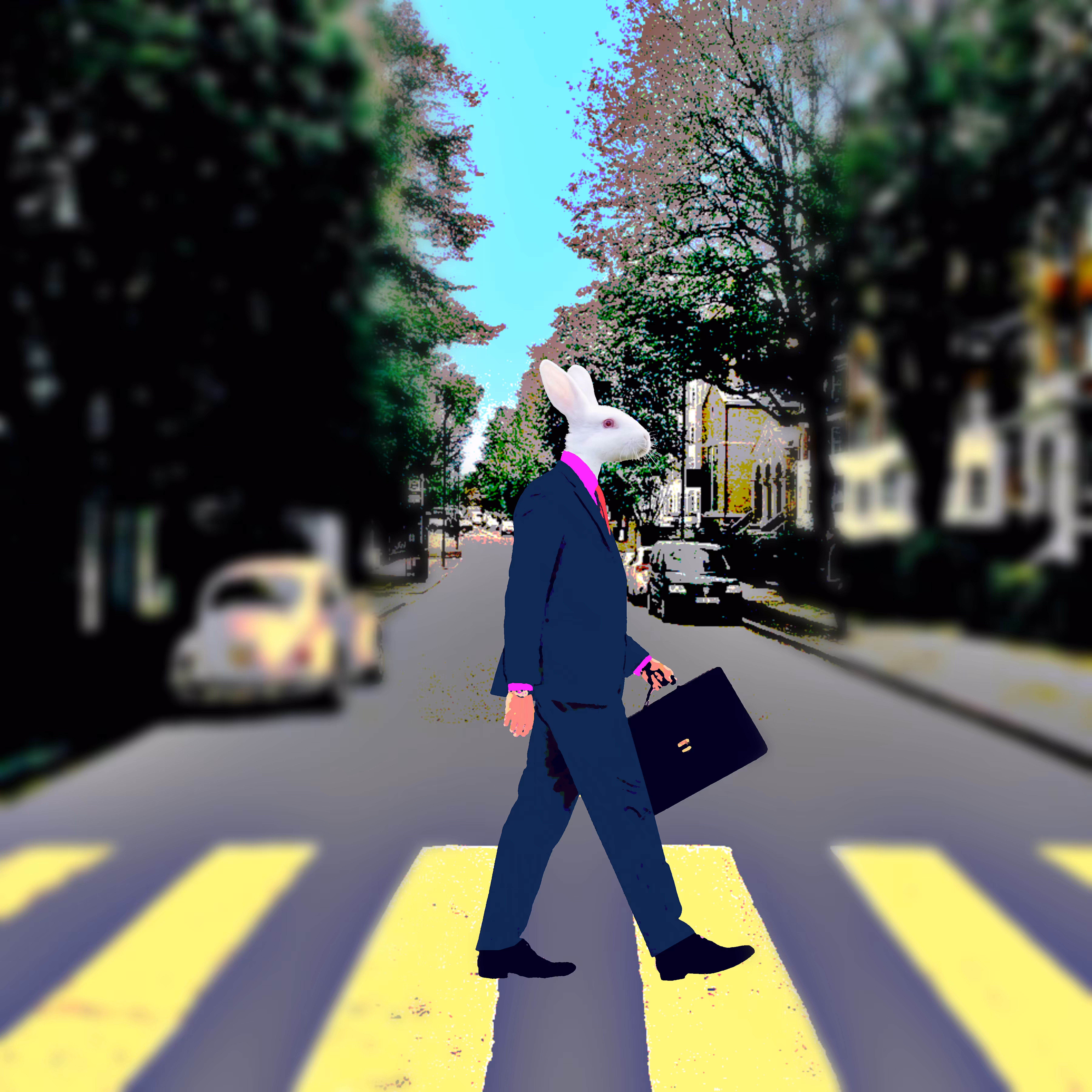 Follow the White Rabbit