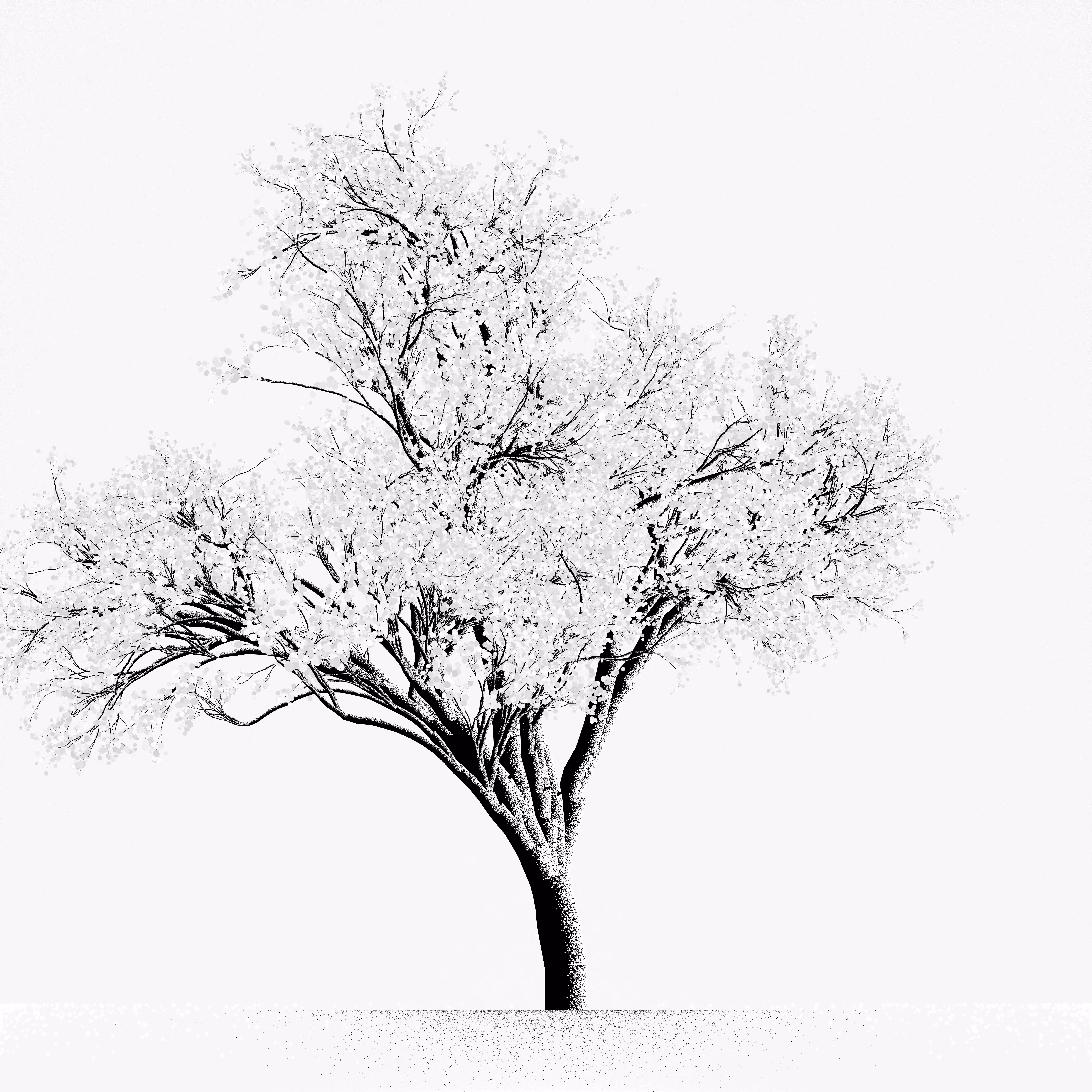 Snow Tree #39