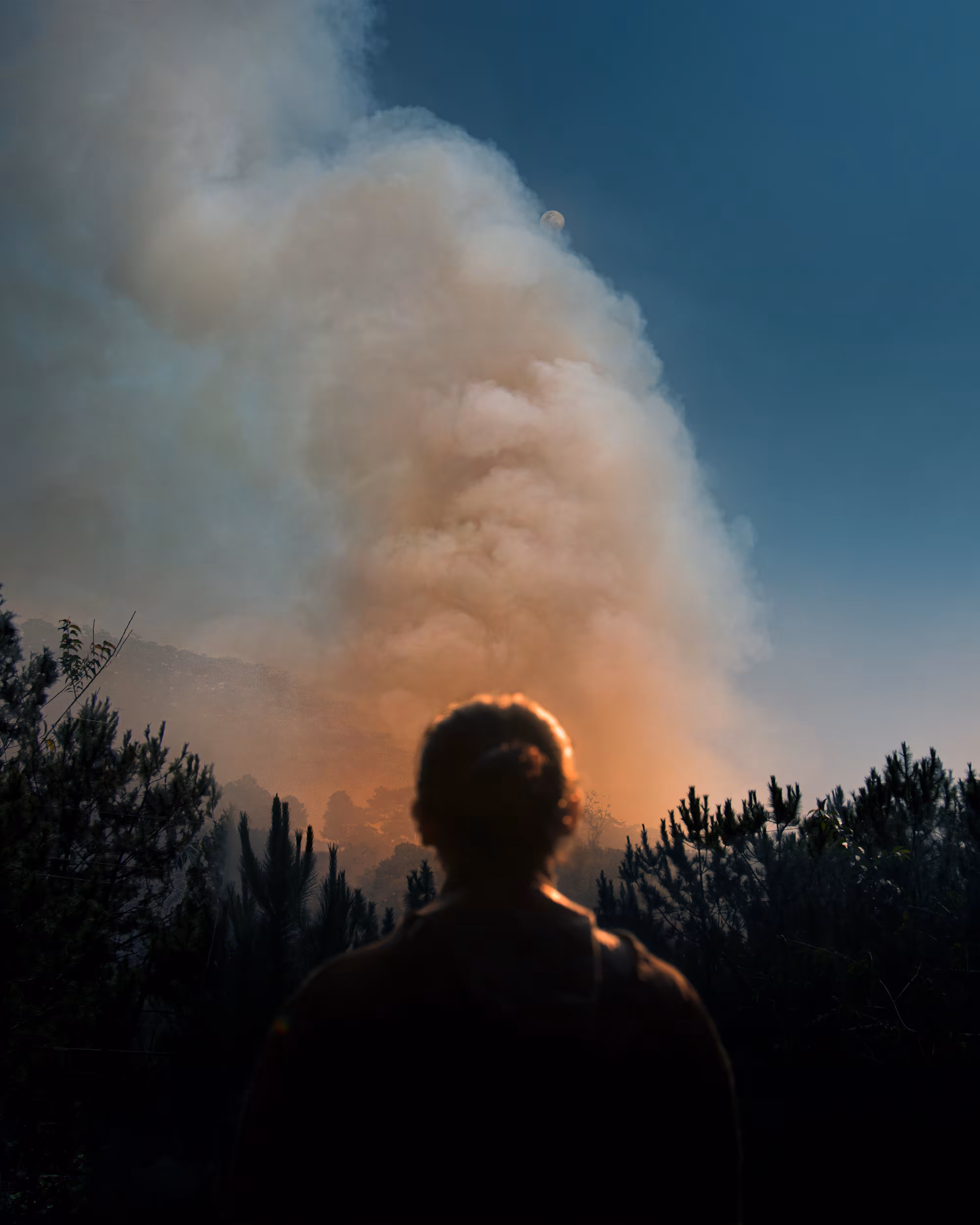 Inner Apocalypse