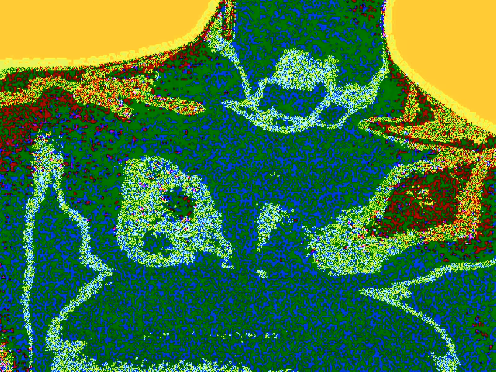 Torso (PHO00002 02292024)