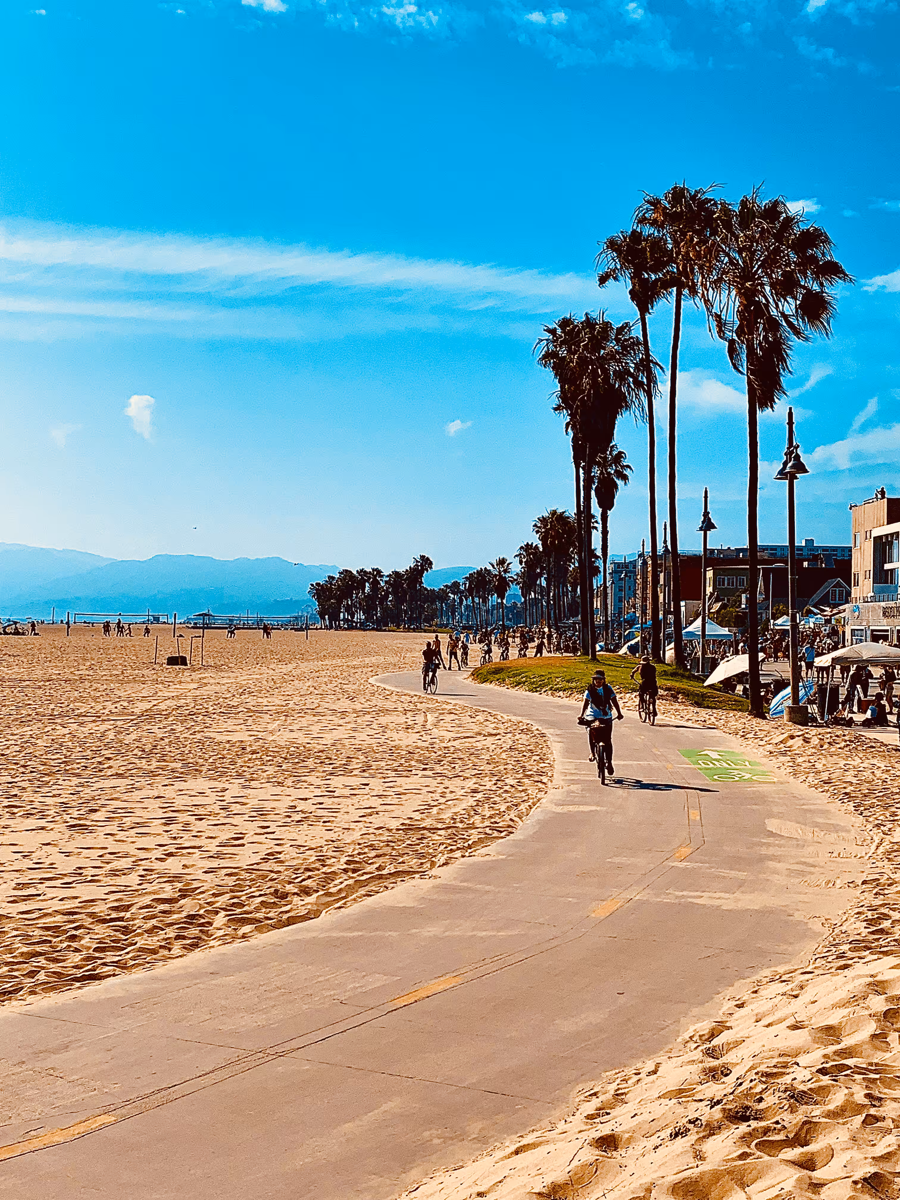 "California Dreamin'"