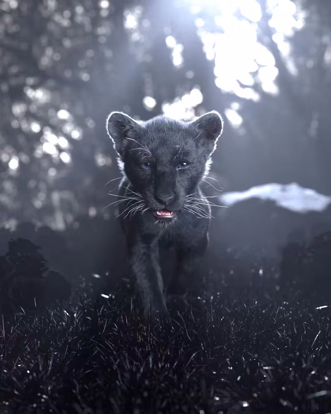 Blvck Baby Tiger