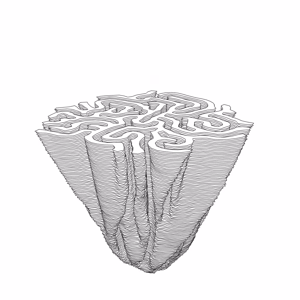 LL21 Differential Growth #20