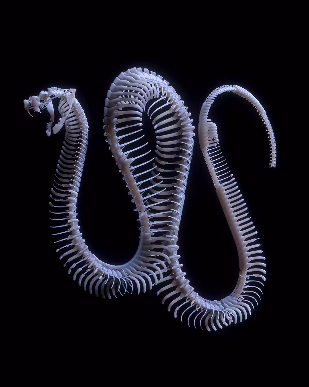 SS01