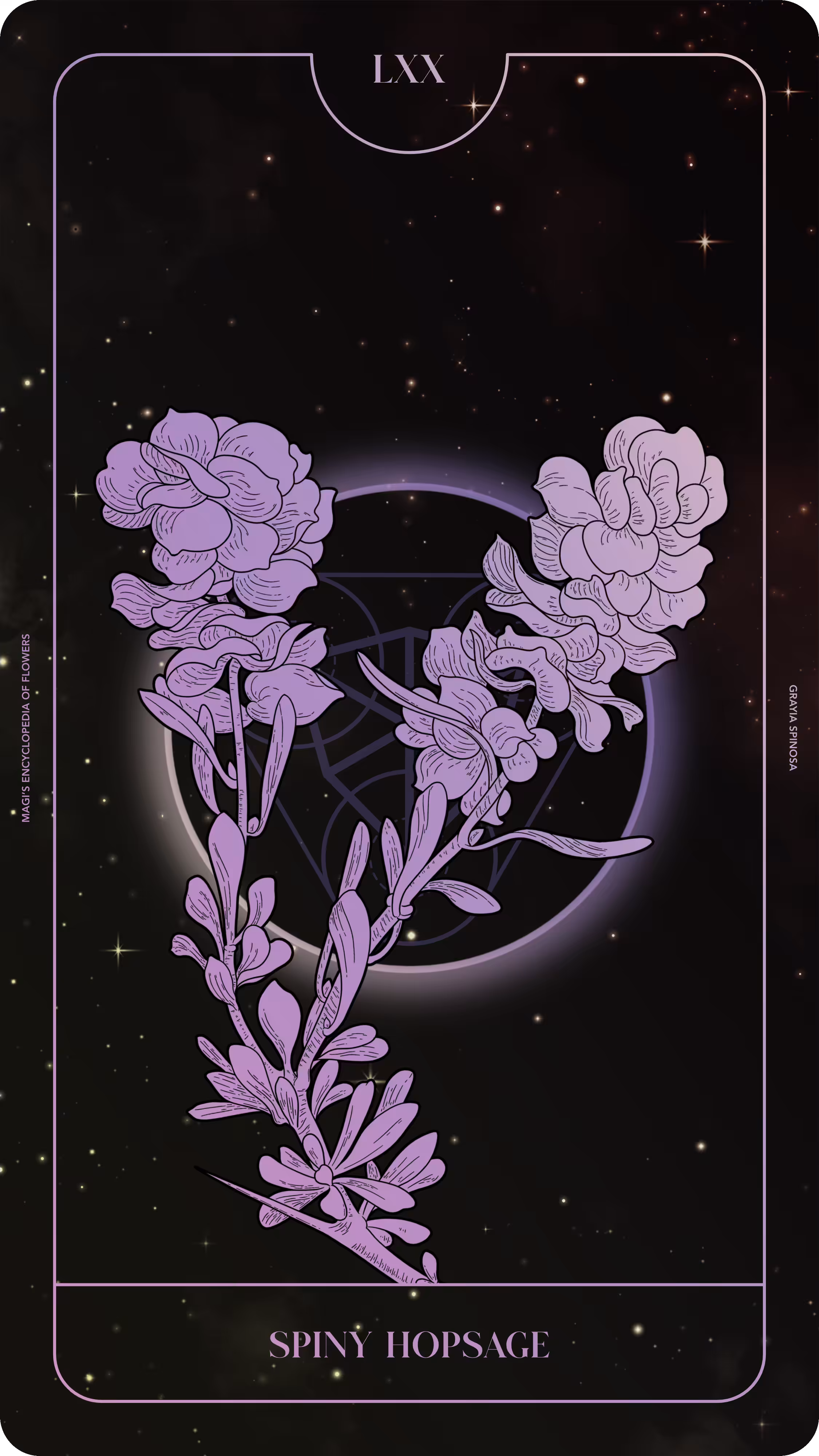 Magi's Encyclopedia of Flowers: 070 Spiny Hopsage