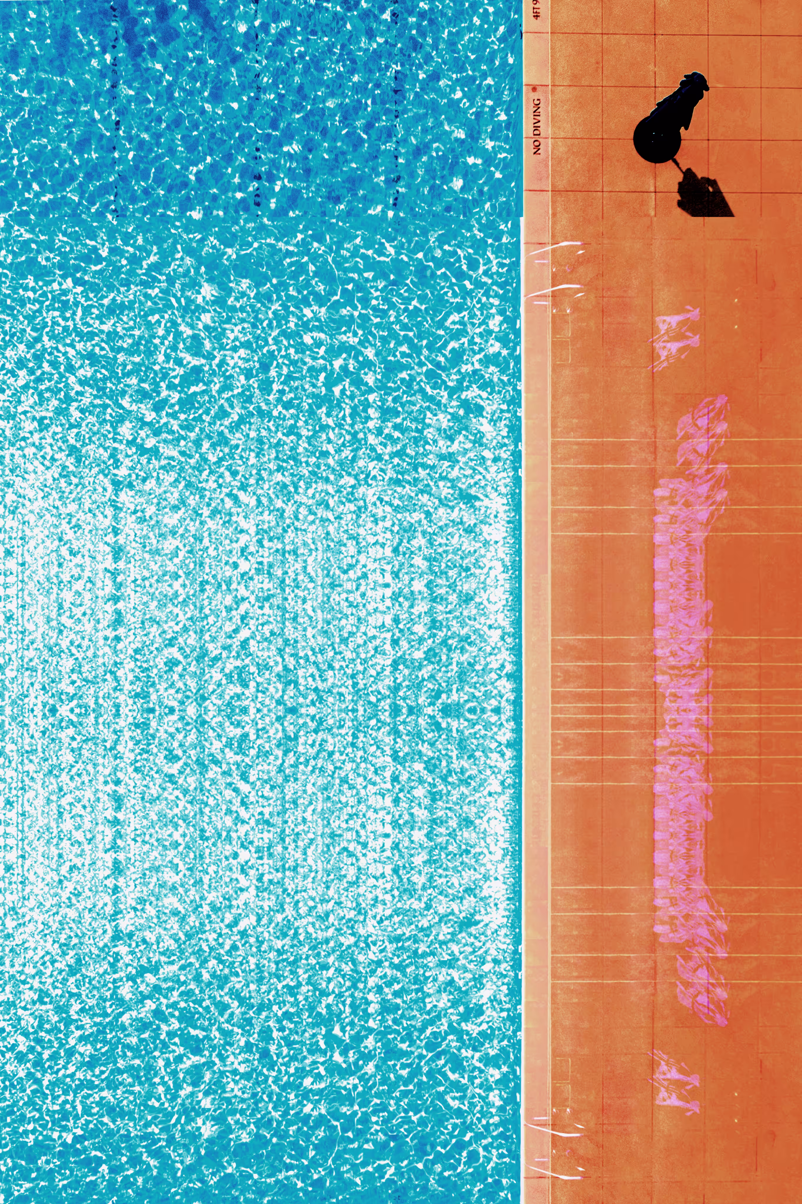 No Diving