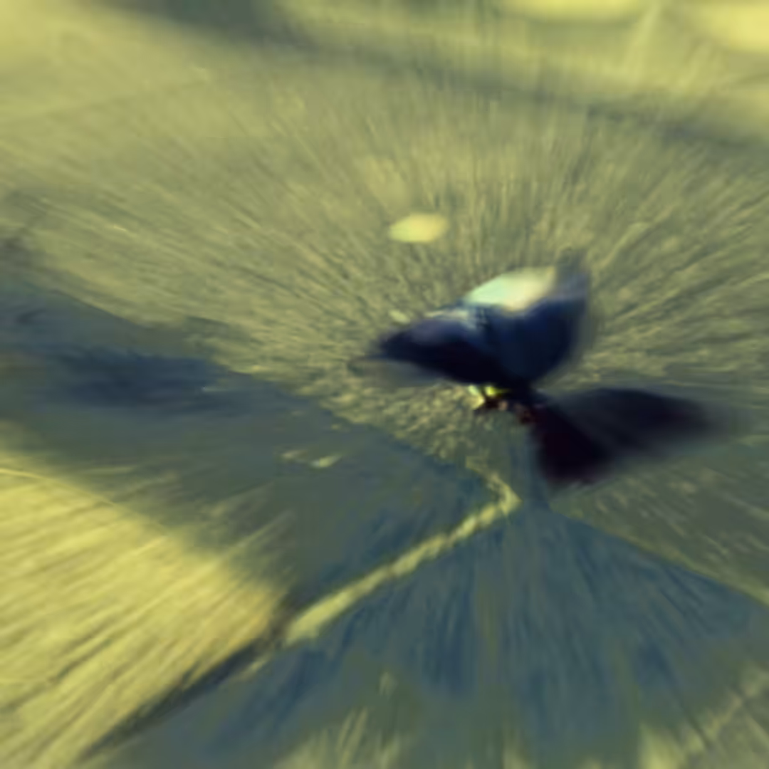 Acid pigeons party