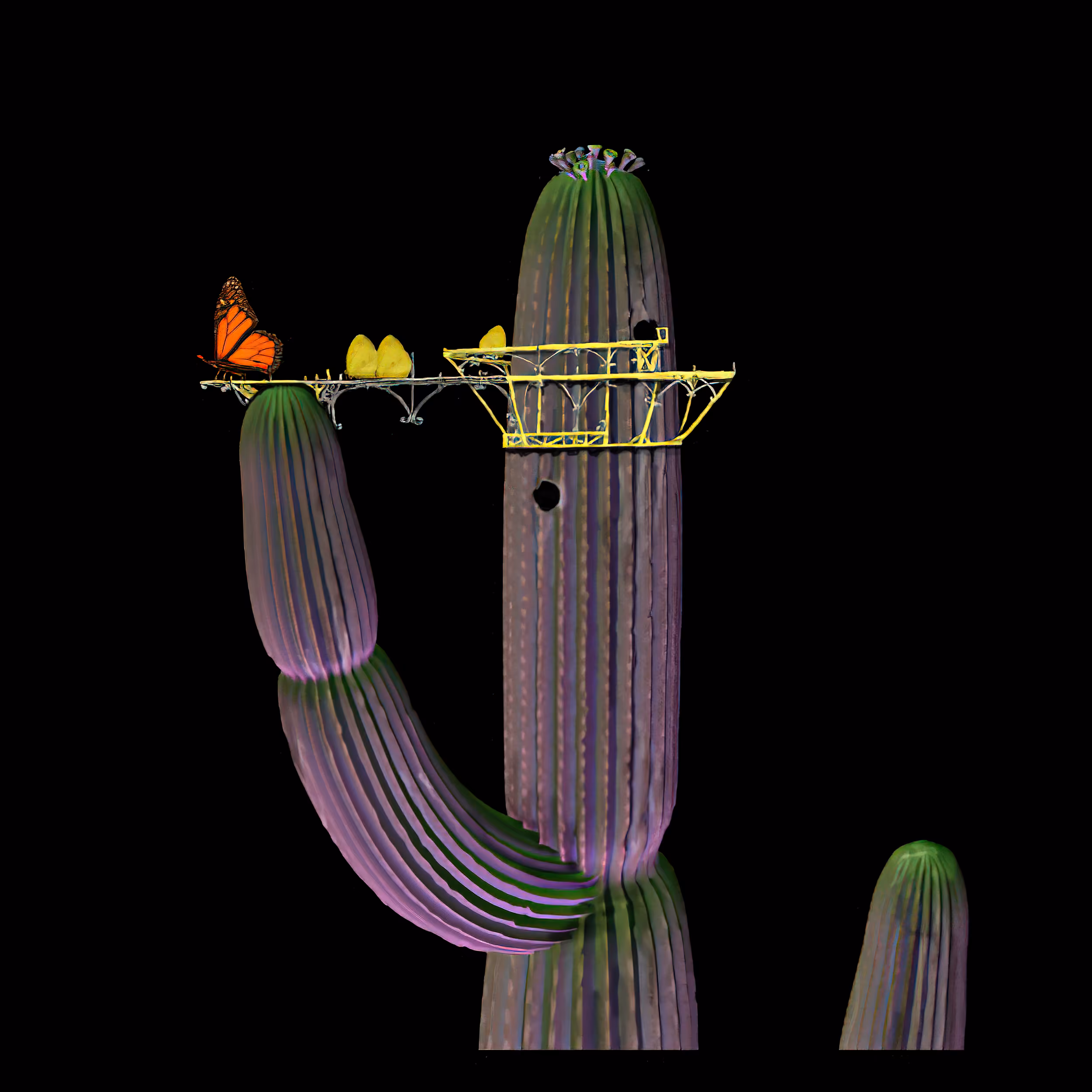 Butterfly Launchpad