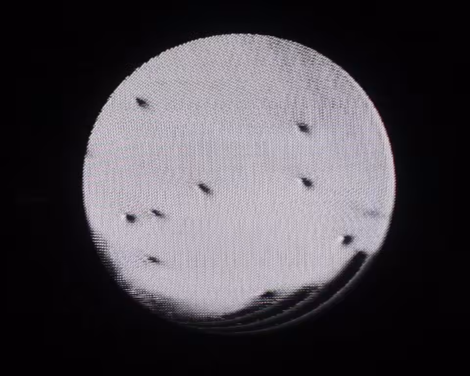 ANOMALY MVI-0165