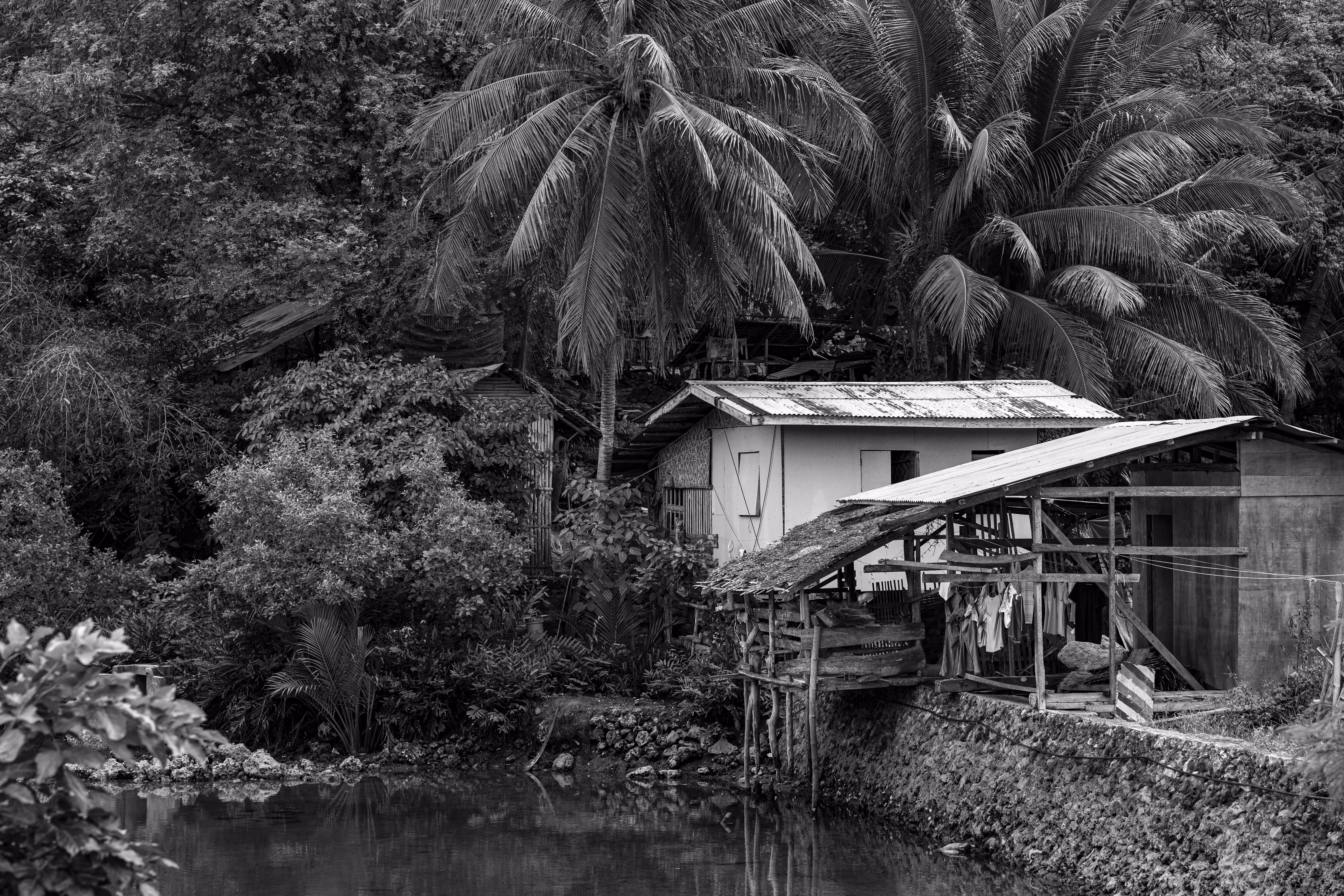 Spirit of Black and White