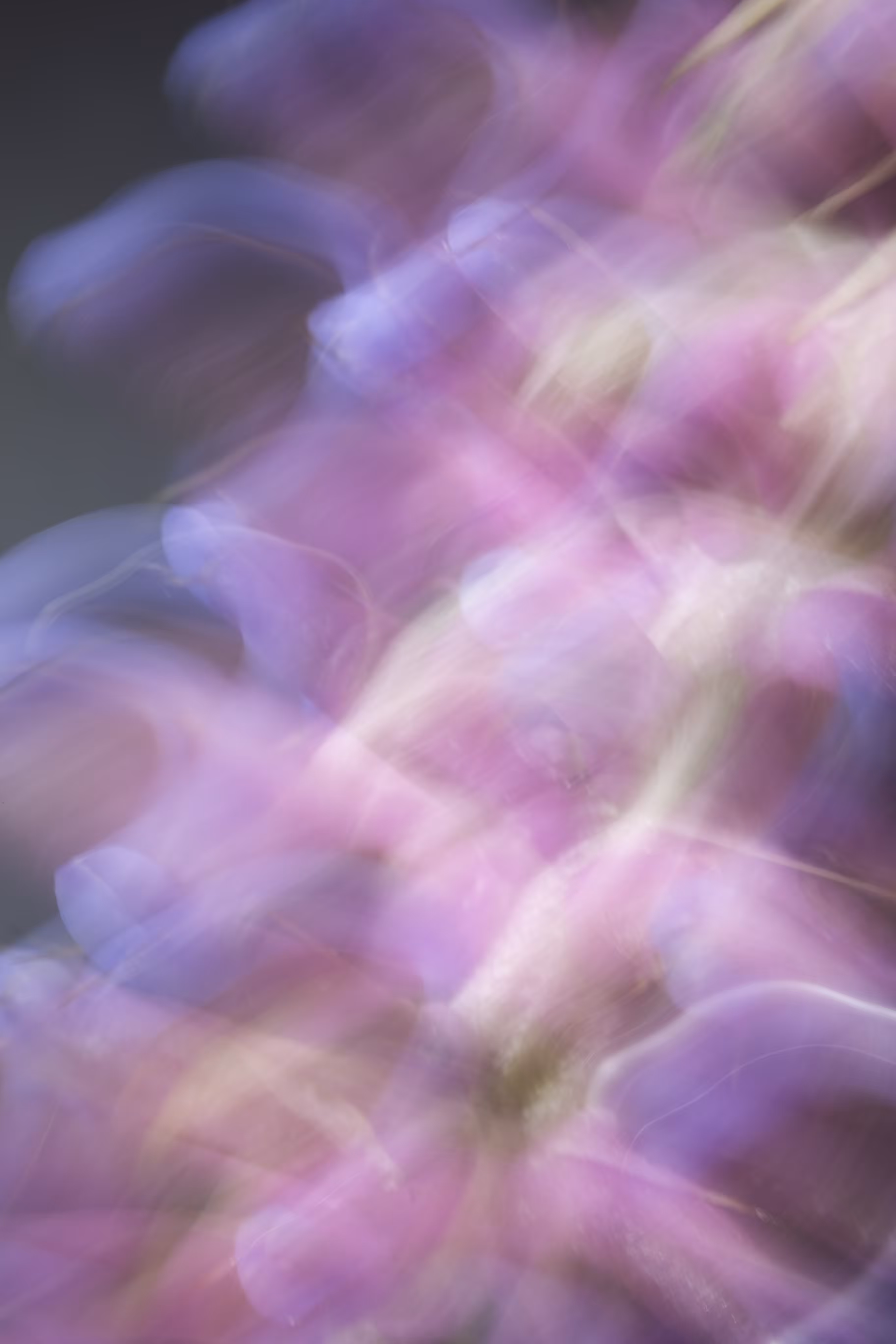 Scattered Light: Crystalised