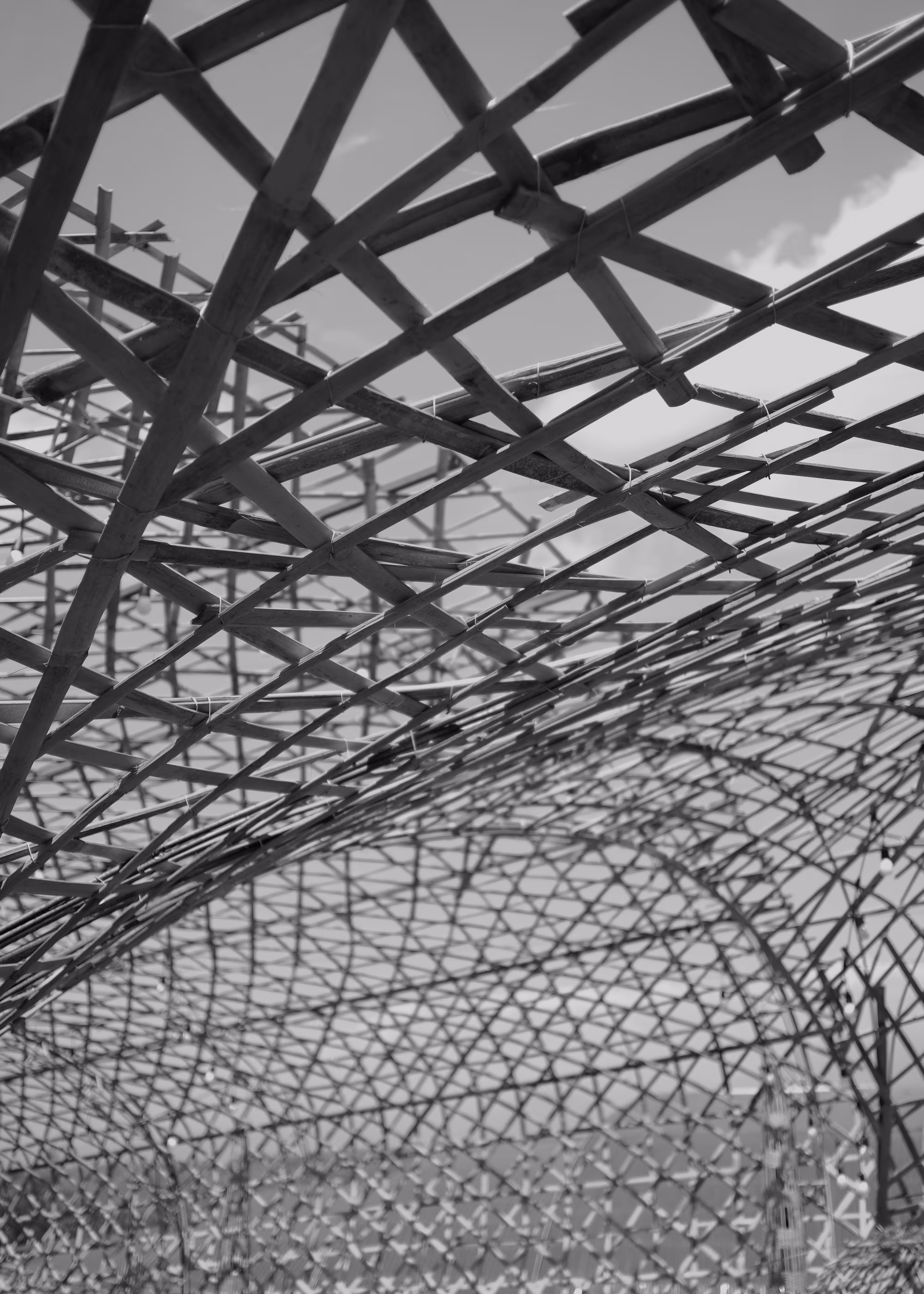 Rattan - 2019