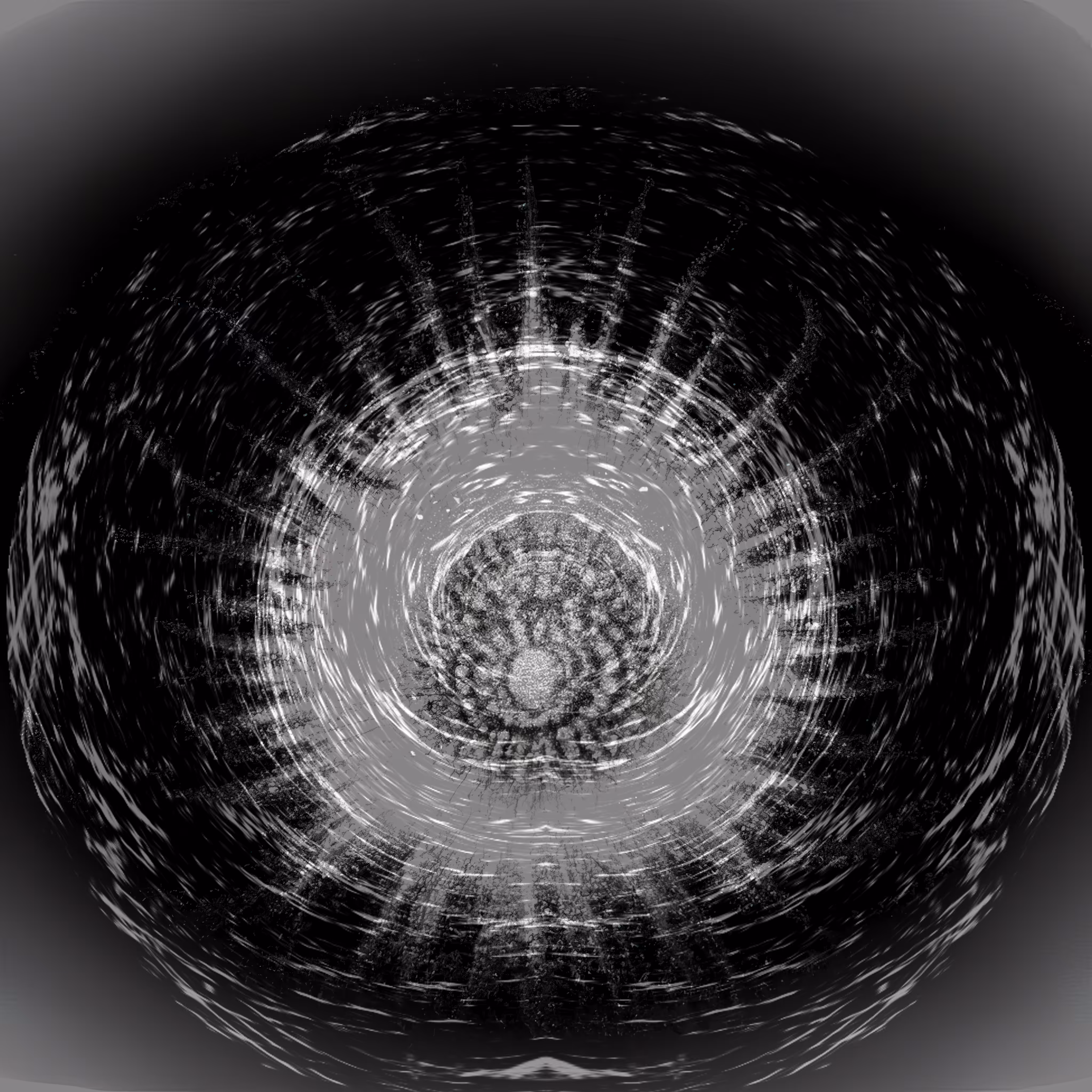 Heliotrope II