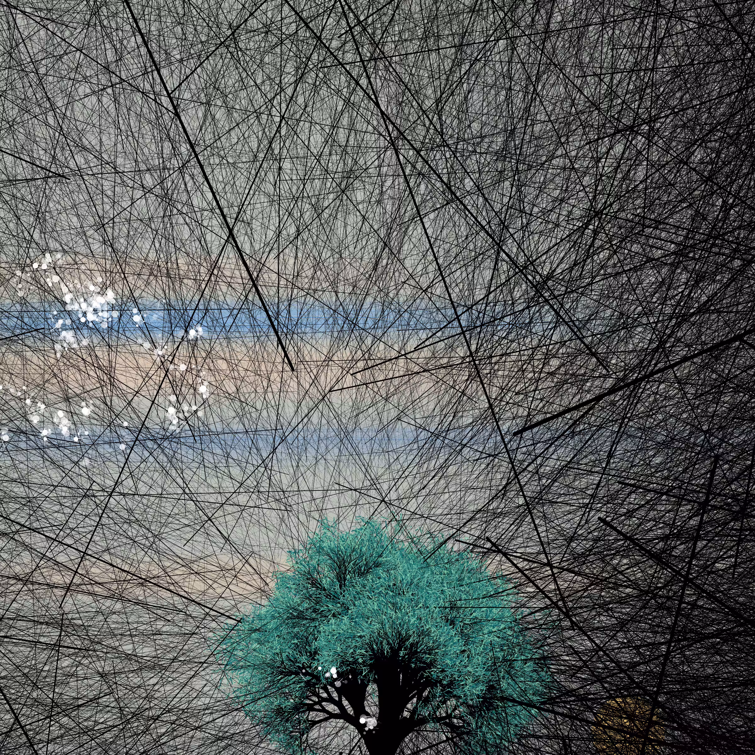 conversation with the wind #380