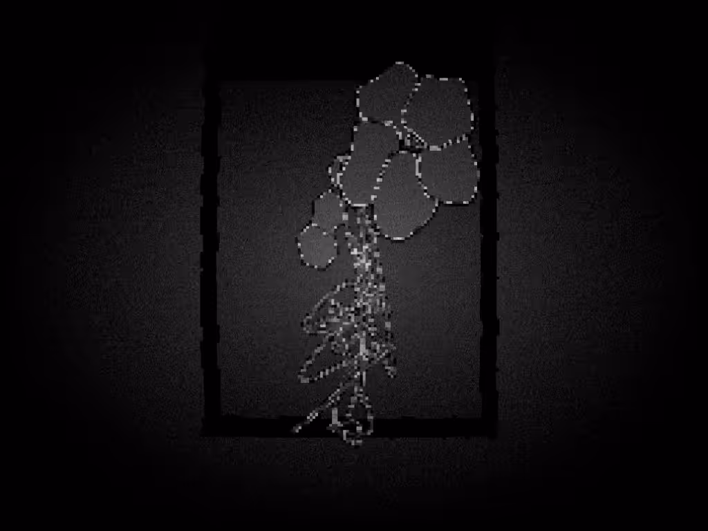 testing-premint #4
