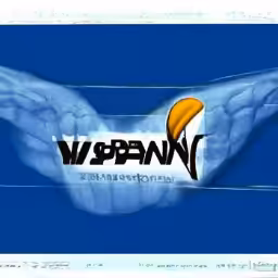 wingspanbank.com (1999-2001) reimagined by Cosmographia, with Simon Denny and Guile Twardowski