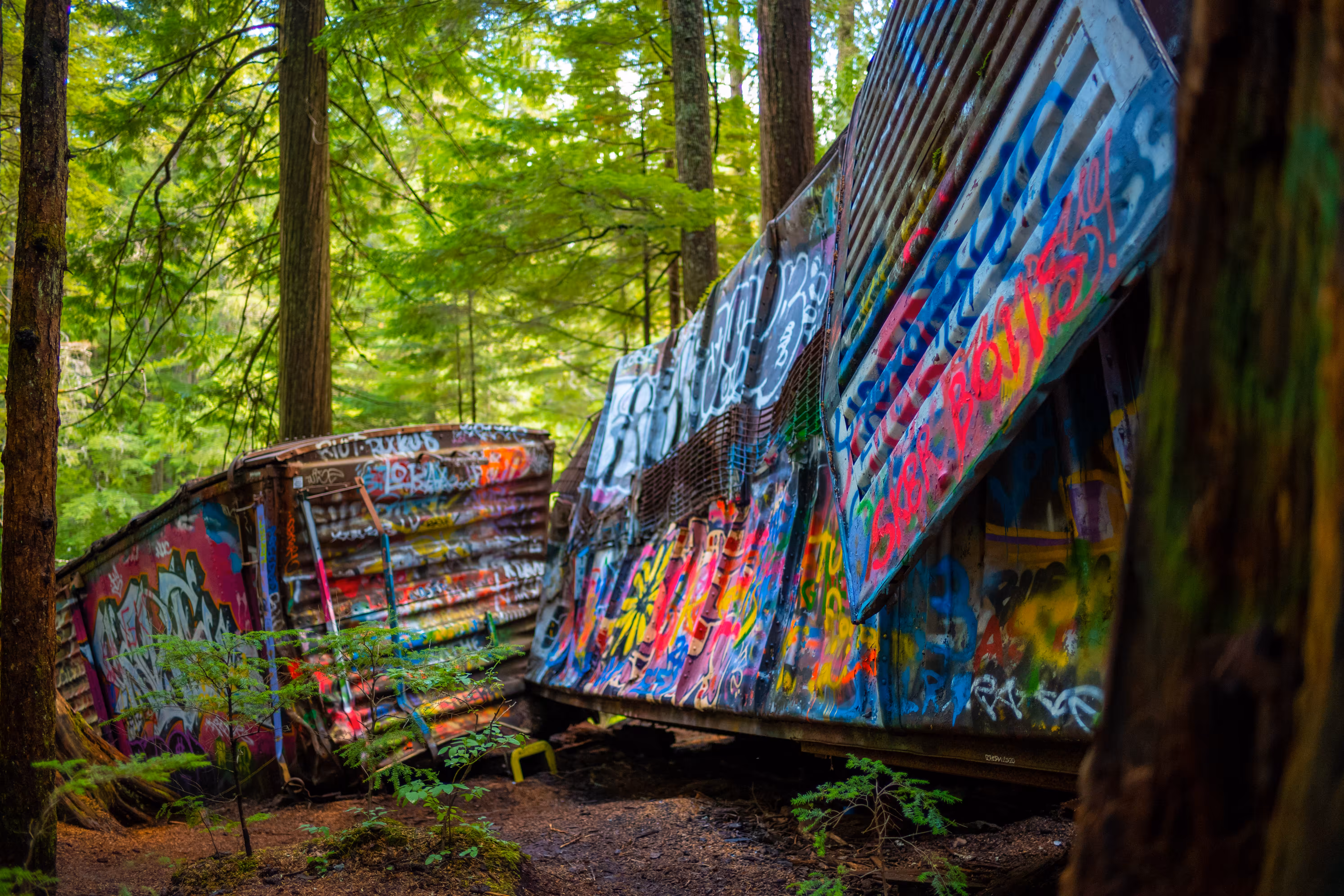 Whistler Train Wreck, 2020