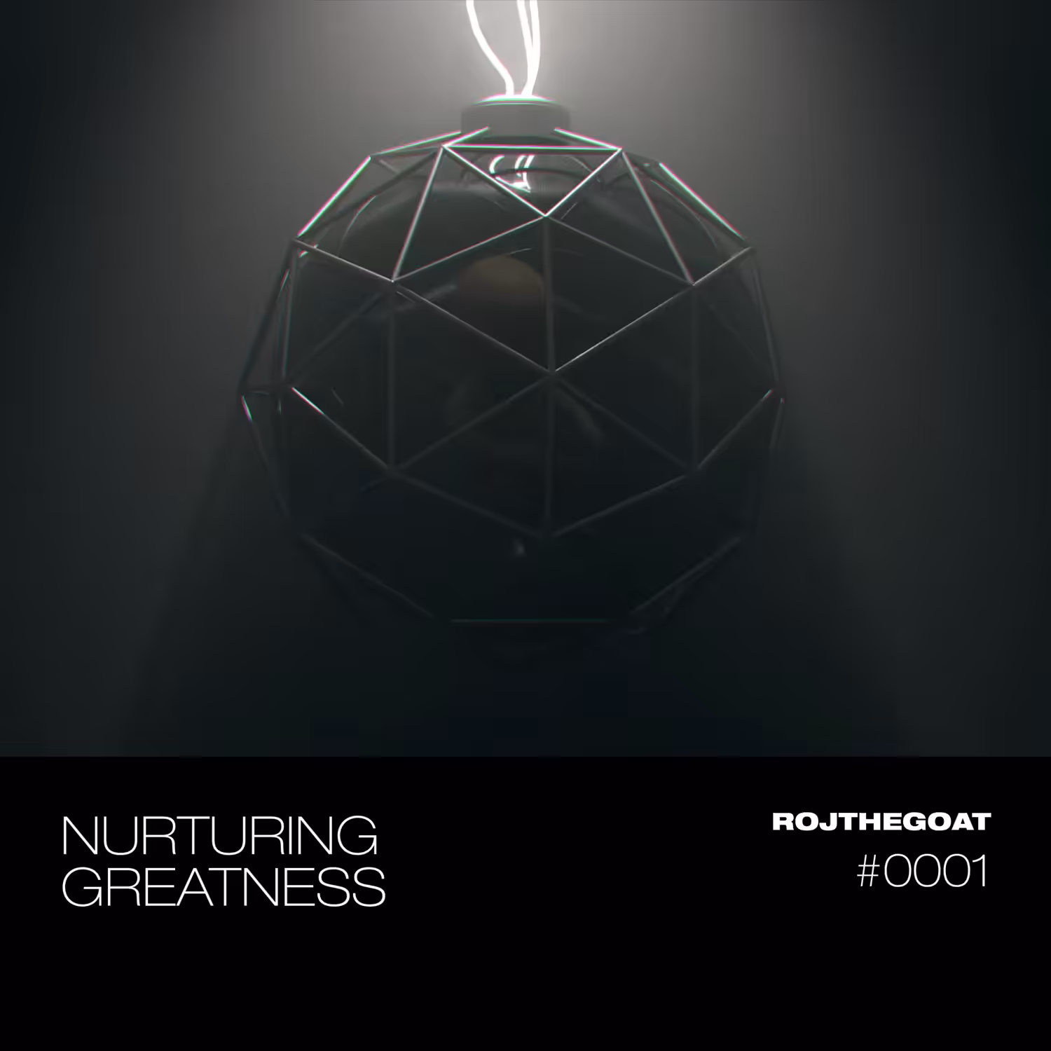 Nurturing Greatness