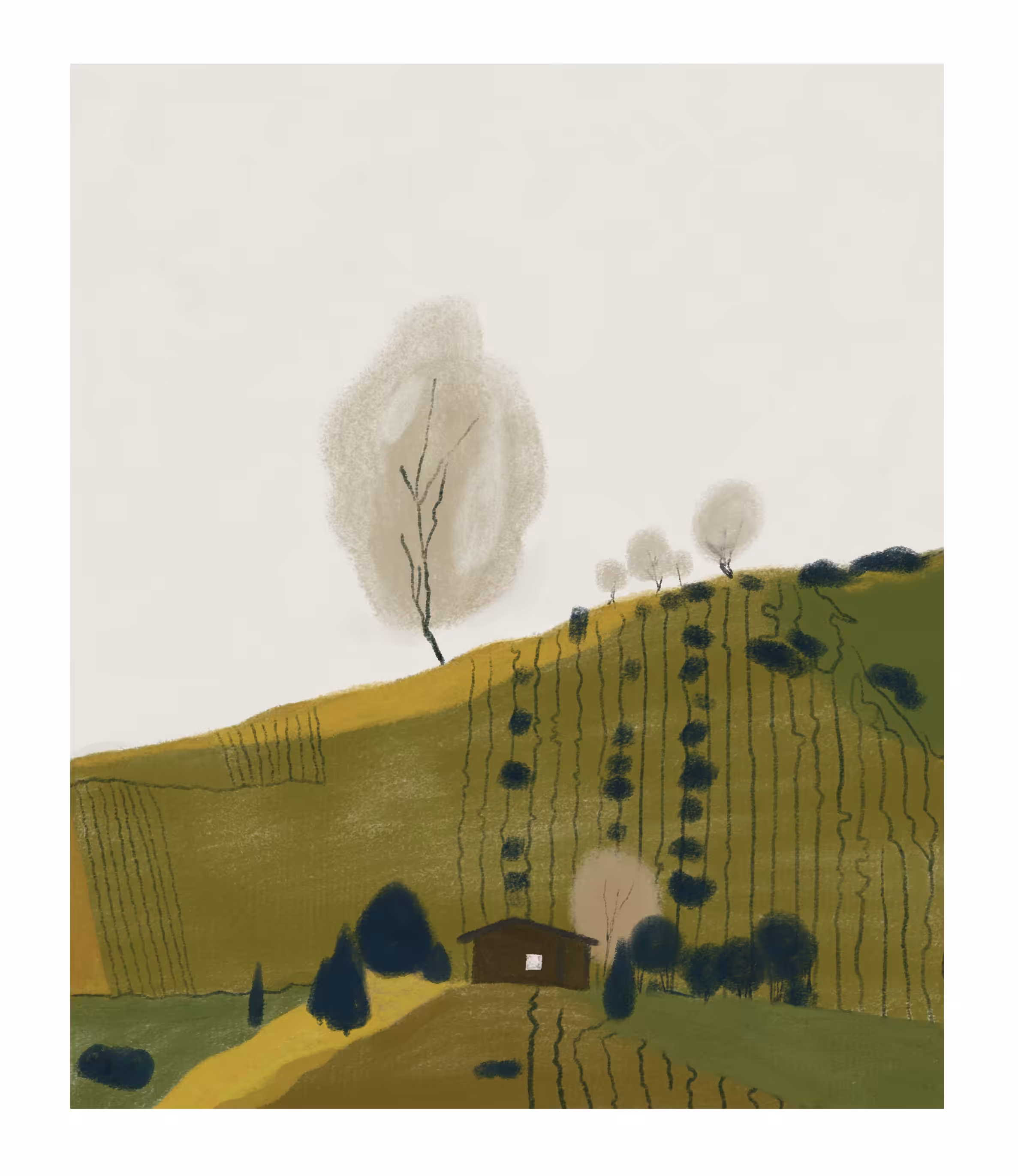 Quiet Fields V
