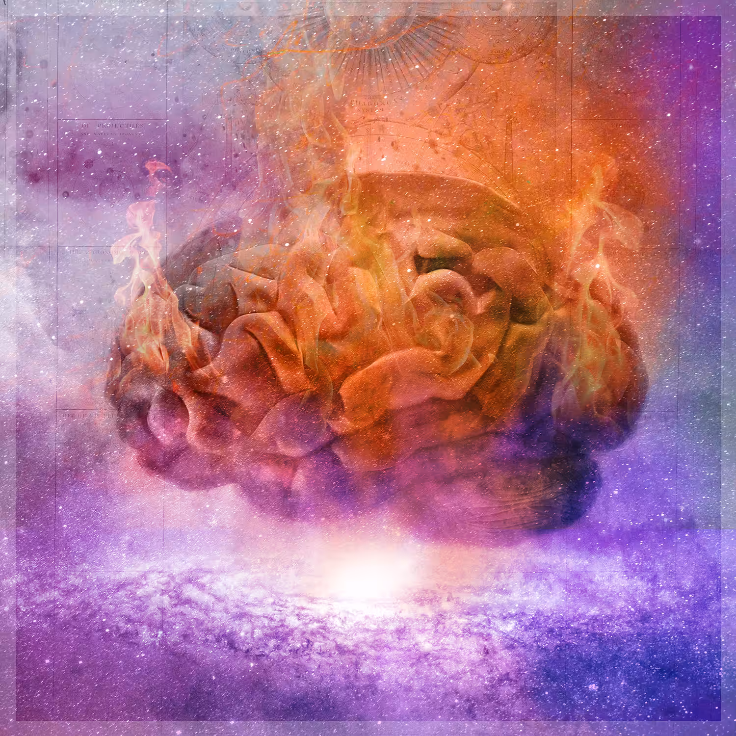 Intellectual Immolation