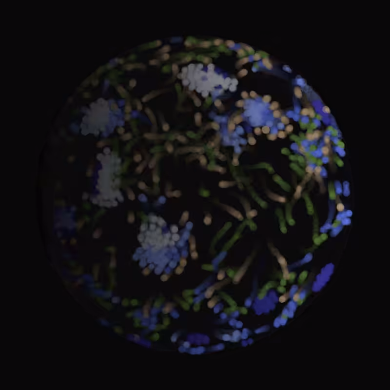 Earth #291