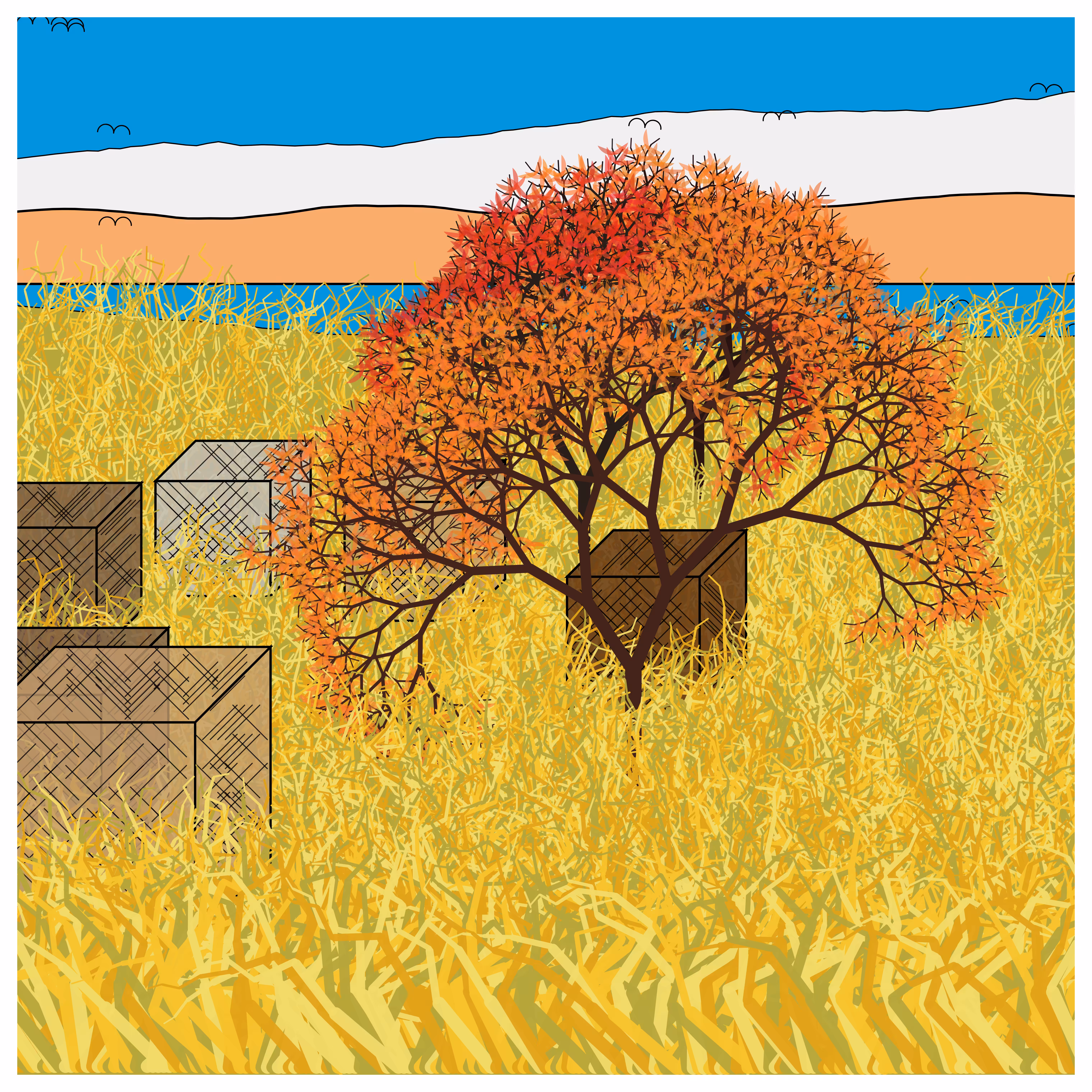 Cube Forest #24