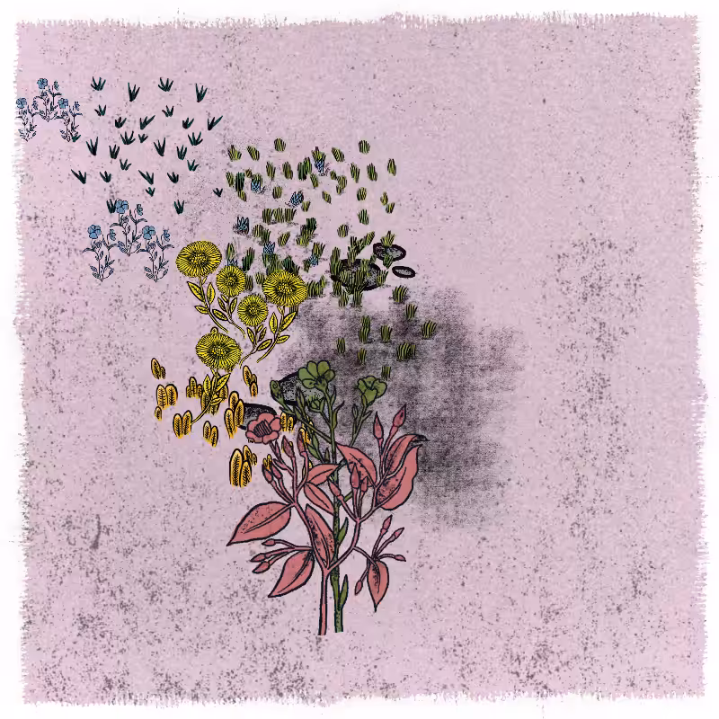 Gardens  #114