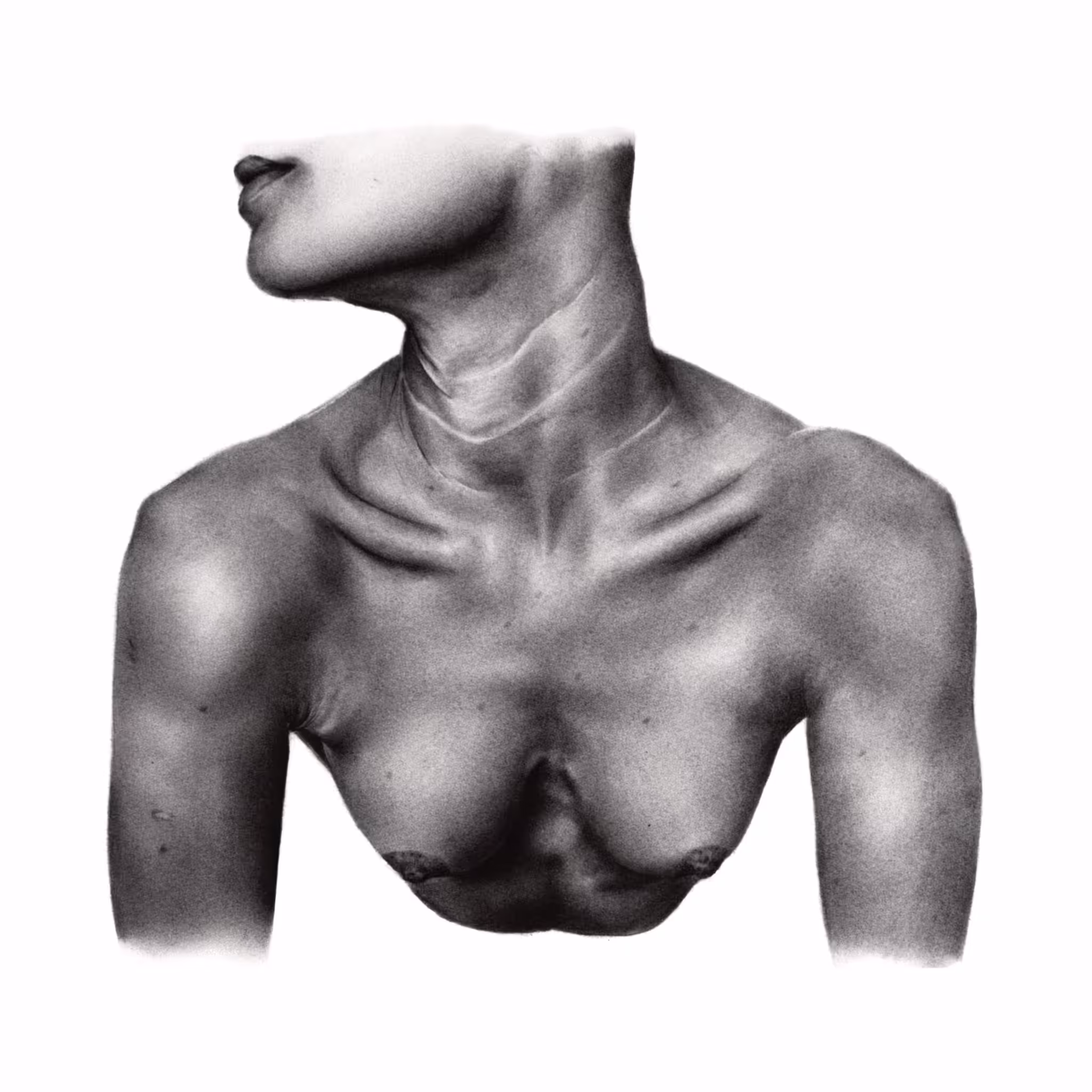 The symbolically porous body