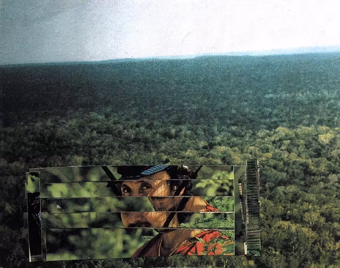Unraveling Reality : forest man